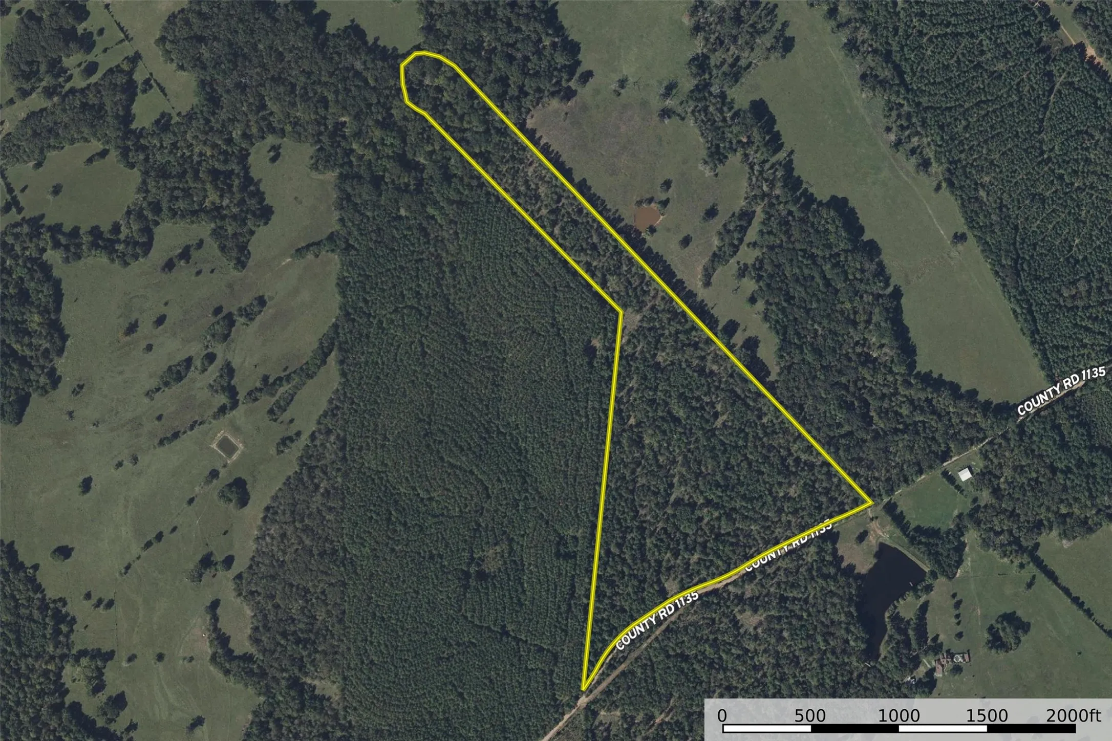 Unimproved Land For Sale in Houston County , 000 County Road 1135, Kennard, Texas 75835, 0, 0, Garage spaces, 0 Sqft, built in 0, Price $285,000, mls#21142332, Real Estate Agent in Kennard, Homes For Sale in Houston county, Homes For Sale in Kennard, Realtor in Kennard Texas, Real Estate Brokerage Independent Realty Texas, Luminita Cordes Realtor