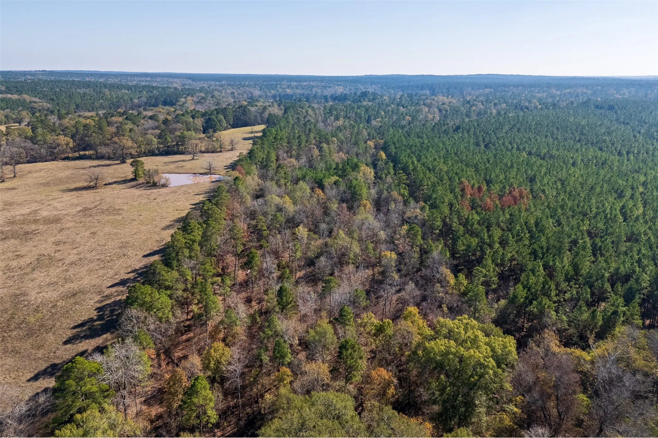 Unimproved Land For Sale in Houston County , 000 County Road 1135, Kennard, Texas 75835, 0, 0, Garage spaces, 0 Sqft, built in 0, Price $285,000, mls#21142332, Real Estate Agent in Kennard, Homes For Sale in Houston county, Homes For Sale in Kennard, Realtor in Kennard Texas, Real Estate Brokerage Independent Realty Texas, Luminita Cordes Realtor