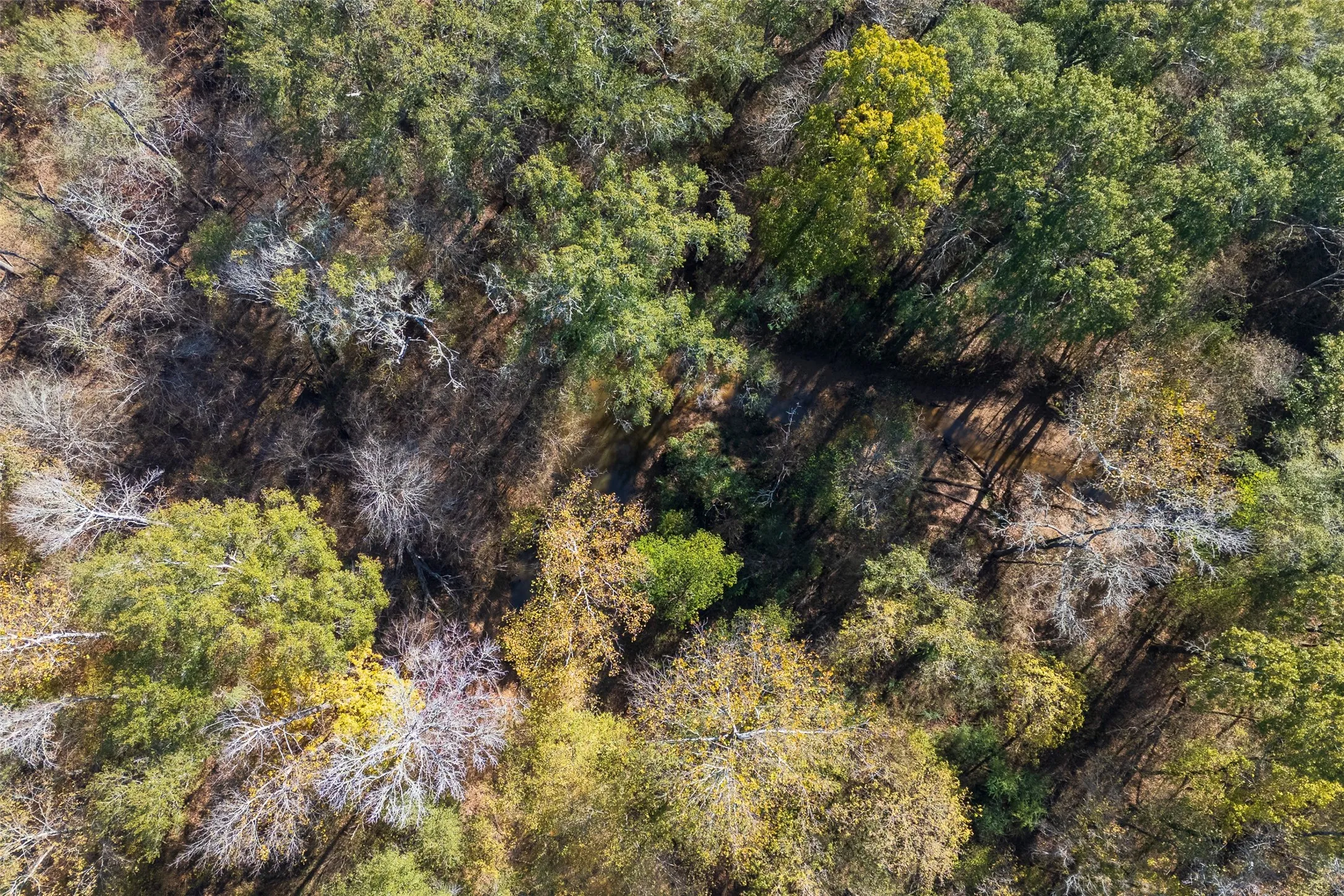 Unimproved Land For Sale in Houston County , 000 County Road 1135, Kennard, Texas 75835, 0, 0, Garage spaces, 0 Sqft, built in 0, Price $285,000, mls#21142332, Real Estate Agent in Kennard, Homes For Sale in Houston county, Homes For Sale in Kennard, Realtor in Kennard Texas, Real Estate Brokerage Independent Realty Texas, Luminita Cordes Realtor