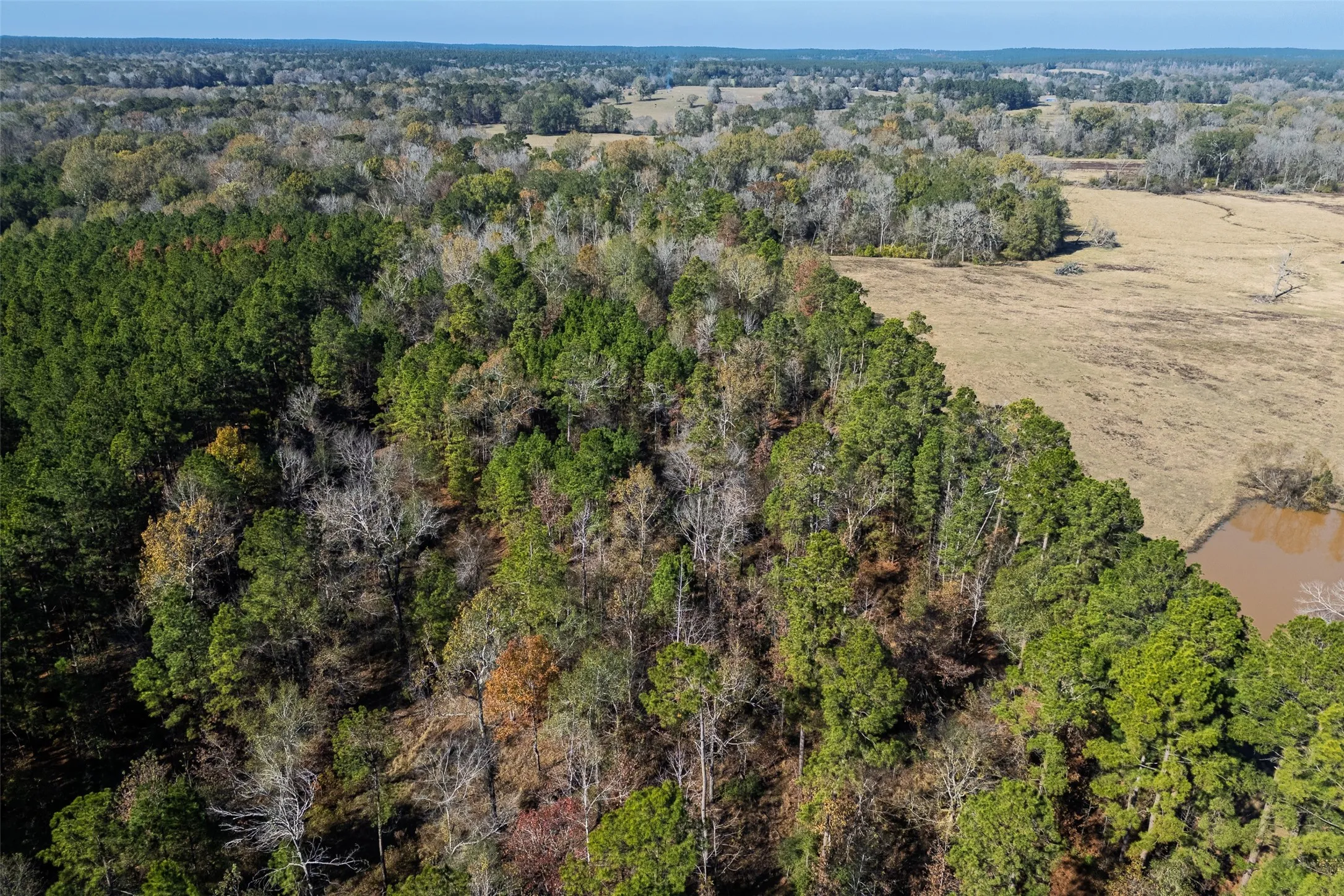 Unimproved Land For Sale in Houston County , 000 County Road 1135, Kennard, Texas 75835, 0, 0, Garage spaces, 0 Sqft, built in 0, Price $285,000, mls#21142332, Real Estate Agent in Kennard, Homes For Sale in Houston county, Homes For Sale in Kennard, Realtor in Kennard Texas, Real Estate Brokerage Independent Realty Texas, Luminita Cordes Realtor