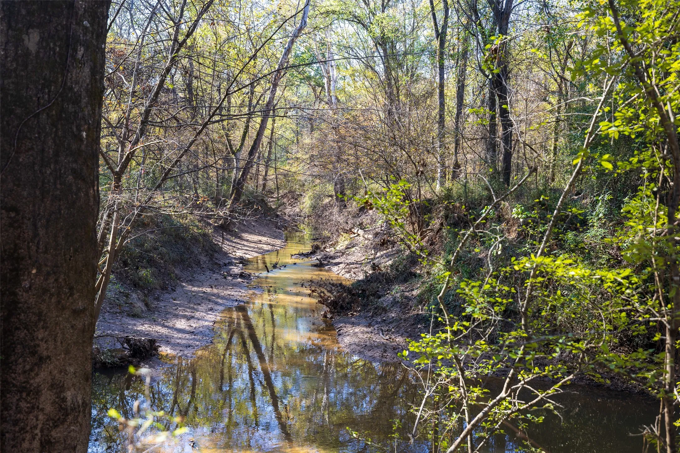Unimproved Land For Sale in Houston County , 000 County Road 1135, Kennard, Texas 75835, 0, 0, Garage spaces, 0 Sqft, built in 0, Price $285,000, mls#21142332, Real Estate Agent in Kennard, Homes For Sale in Houston county, Homes For Sale in Kennard, Realtor in Kennard Texas, Real Estate Brokerage Independent Realty Texas, Luminita Cordes Realtor