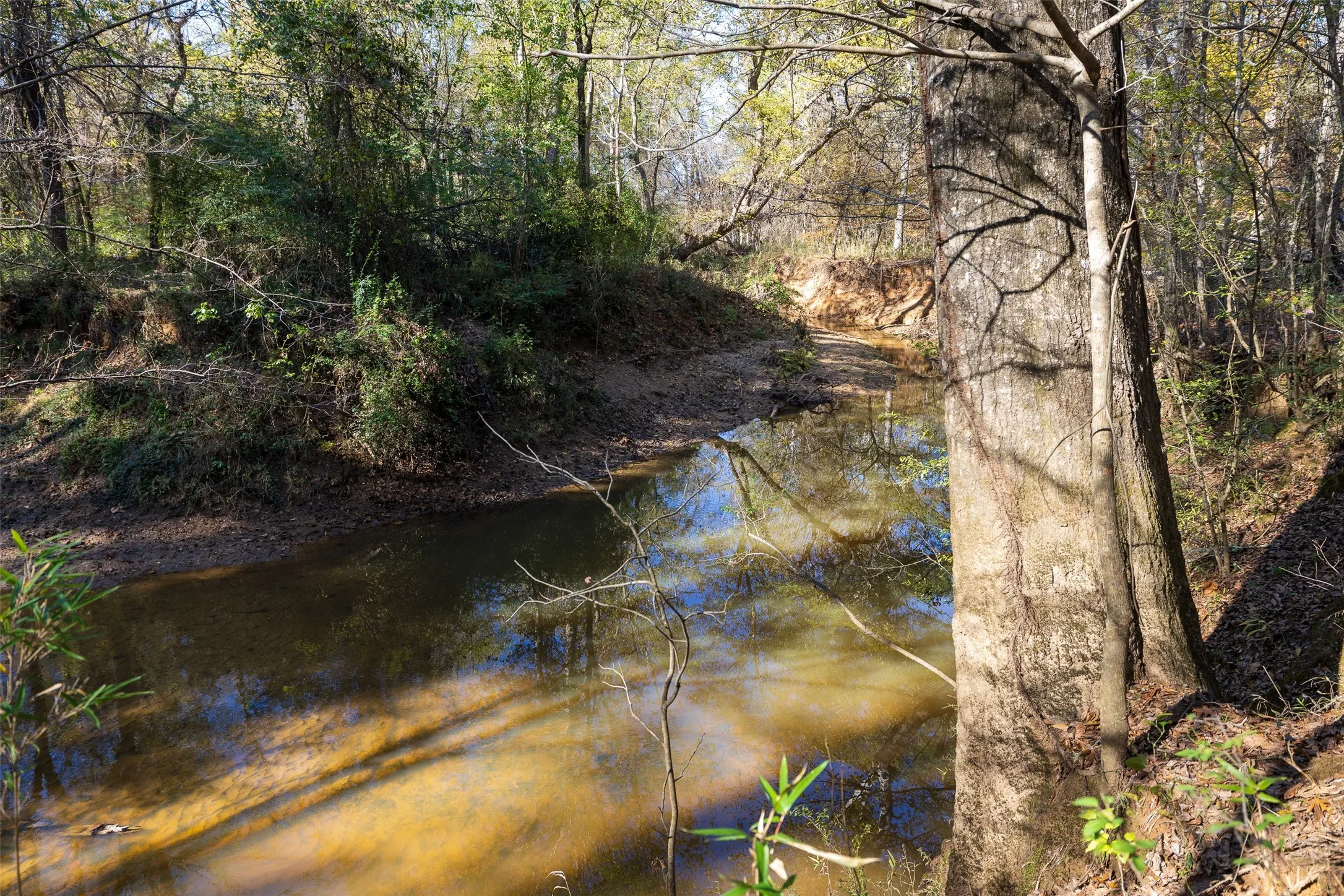 Unimproved Land For Sale in Houston County , 000 County Road 1135, Kennard, Texas 75835, 0, 0, Garage spaces, 0 Sqft, built in 0, Price $285,000, mls#21142332, Real Estate Agent in Kennard, Homes For Sale in Houston county, Homes For Sale in Kennard, Realtor in Kennard Texas, Real Estate Brokerage Independent Realty Texas, Luminita Cordes Realtor