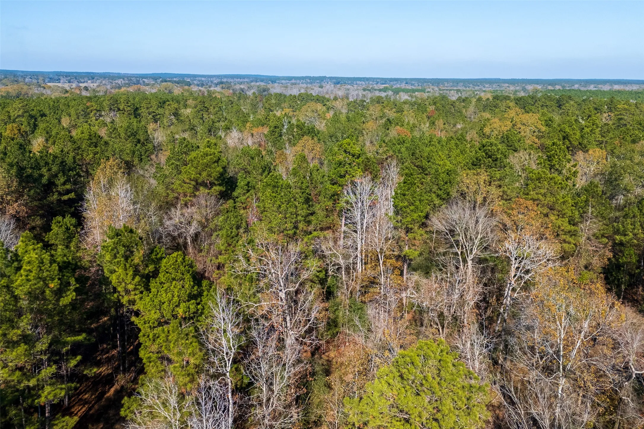 Unimproved Land For Sale in Houston County , 000 County Road 1135, Kennard, Texas 75835, 0, 0, Garage spaces, 0 Sqft, built in 0, Price $285,000, mls#21142332, Real Estate Agent in Kennard, Homes For Sale in Houston county, Homes For Sale in Kennard, Realtor in Kennard Texas, Real Estate Brokerage Independent Realty Texas, Luminita Cordes Realtor
