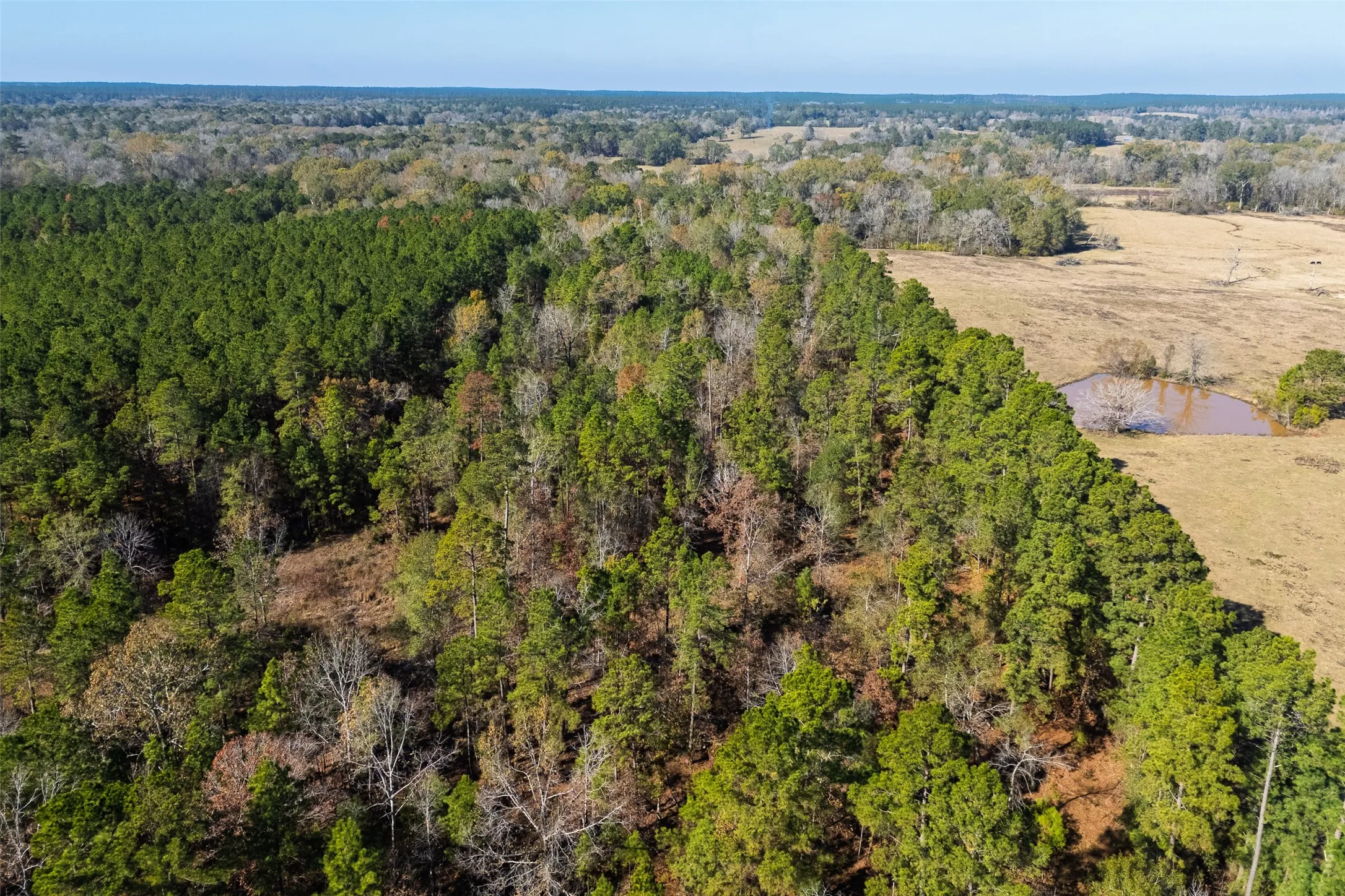 Unimproved Land For Sale in Houston County , 000 County Road 1135, Kennard, Texas 75835, 0, 0, Garage spaces, 0 Sqft, built in 0, Price $285,000, mls#21142332, Real Estate Agent in Kennard, Homes For Sale in Houston county, Homes For Sale in Kennard, Realtor in Kennard Texas, Real Estate Brokerage Independent Realty Texas, Luminita Cordes Realtor