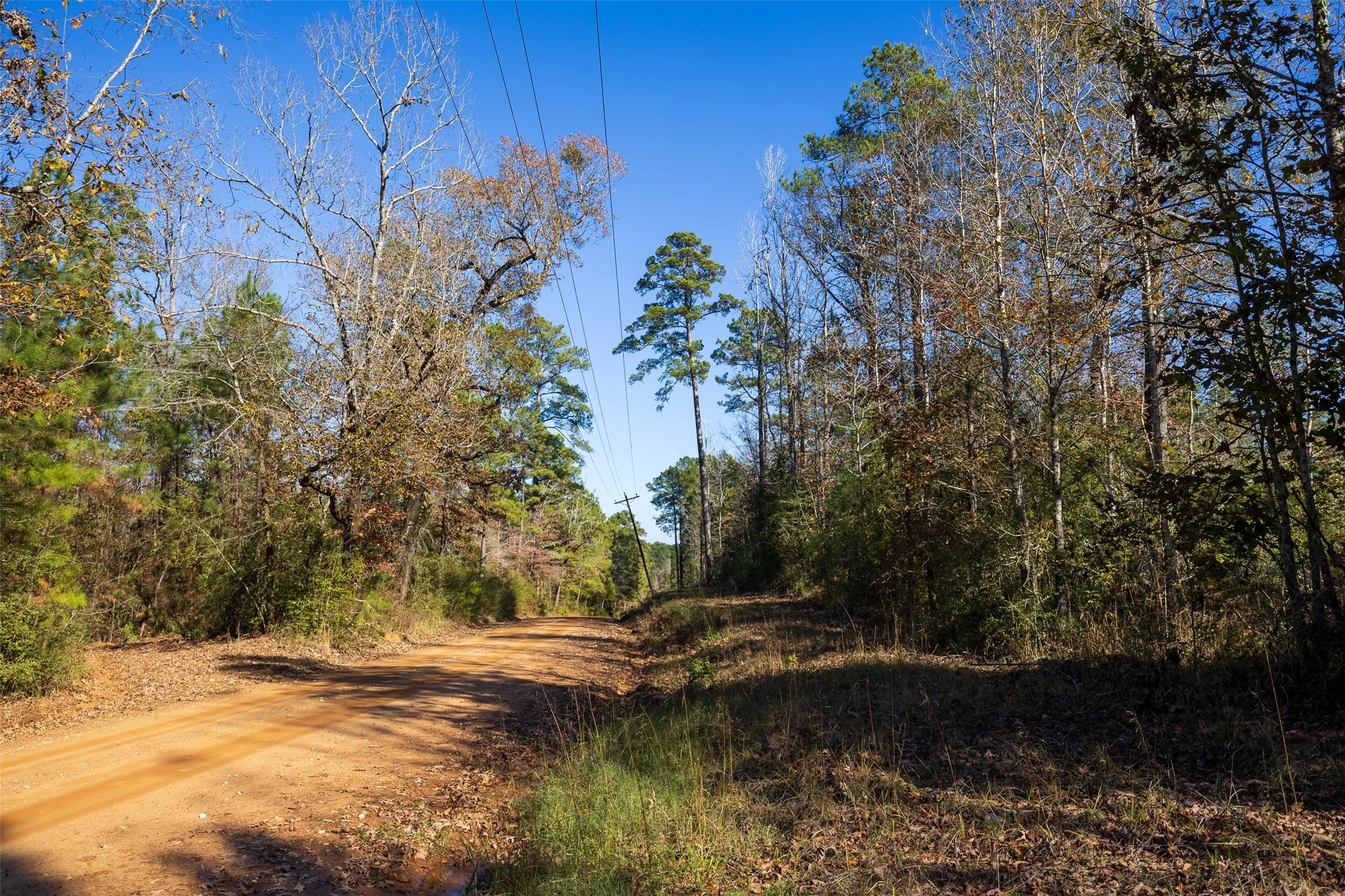 Unimproved Land For Sale in Houston County , 000 County Road 1135, Kennard, Texas 75835, 0, 0, Garage spaces, 0 Sqft, built in 0, Price $285,000, mls#21142332, Real Estate Agent in Kennard, Homes For Sale in Houston county, Homes For Sale in Kennard, Realtor in Kennard Texas, Real Estate Brokerage Independent Realty Texas, Luminita Cordes Realtor