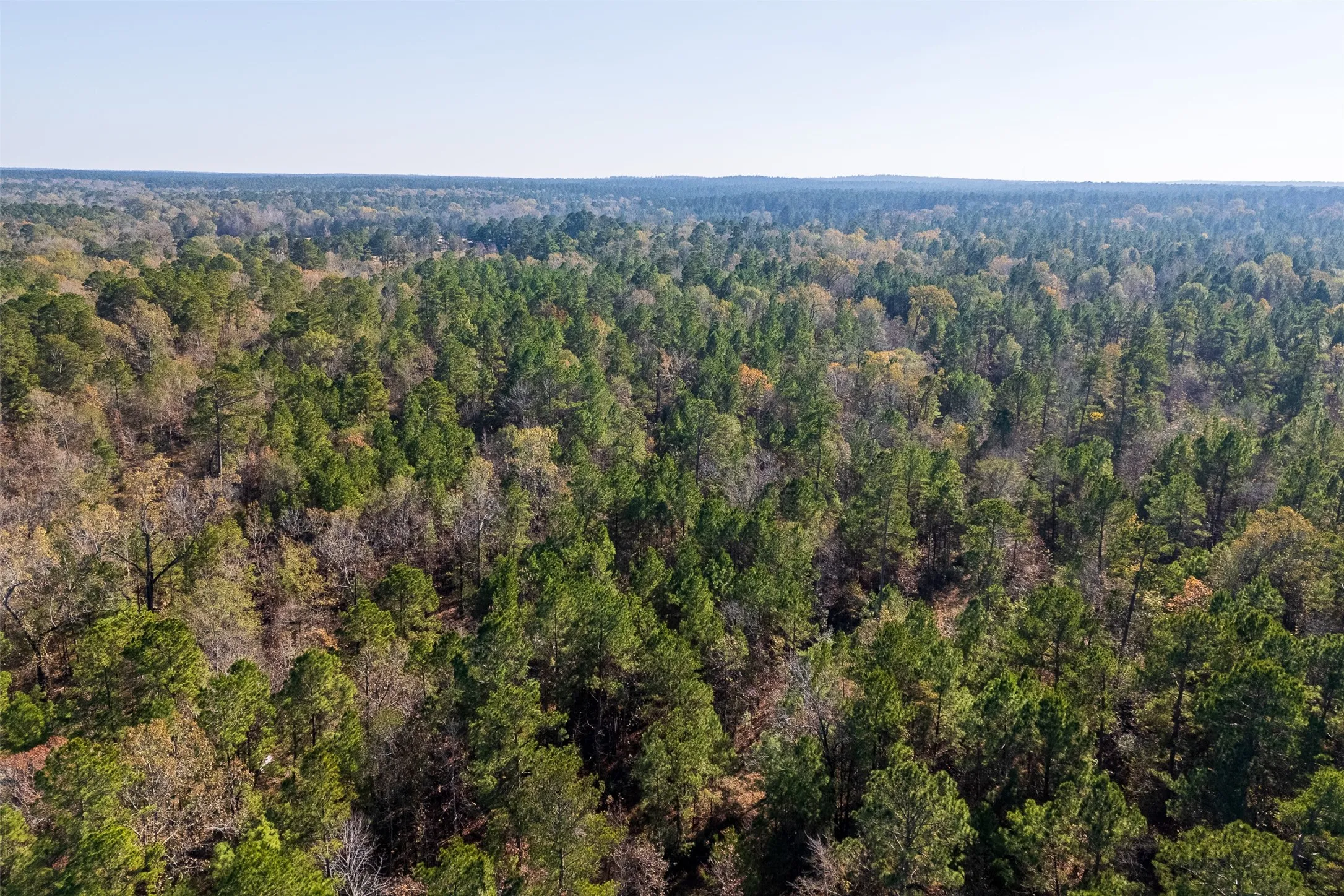 Unimproved Land For Sale in Houston County , 000 County Road 1135, Kennard, Texas 75835, 0, 0, Garage spaces, 0 Sqft, built in 0, Price $285,000, mls#21142332, Real Estate Agent in Kennard, Homes For Sale in Houston county, Homes For Sale in Kennard, Realtor in Kennard Texas, Real Estate Brokerage Independent Realty Texas, Luminita Cordes Realtor