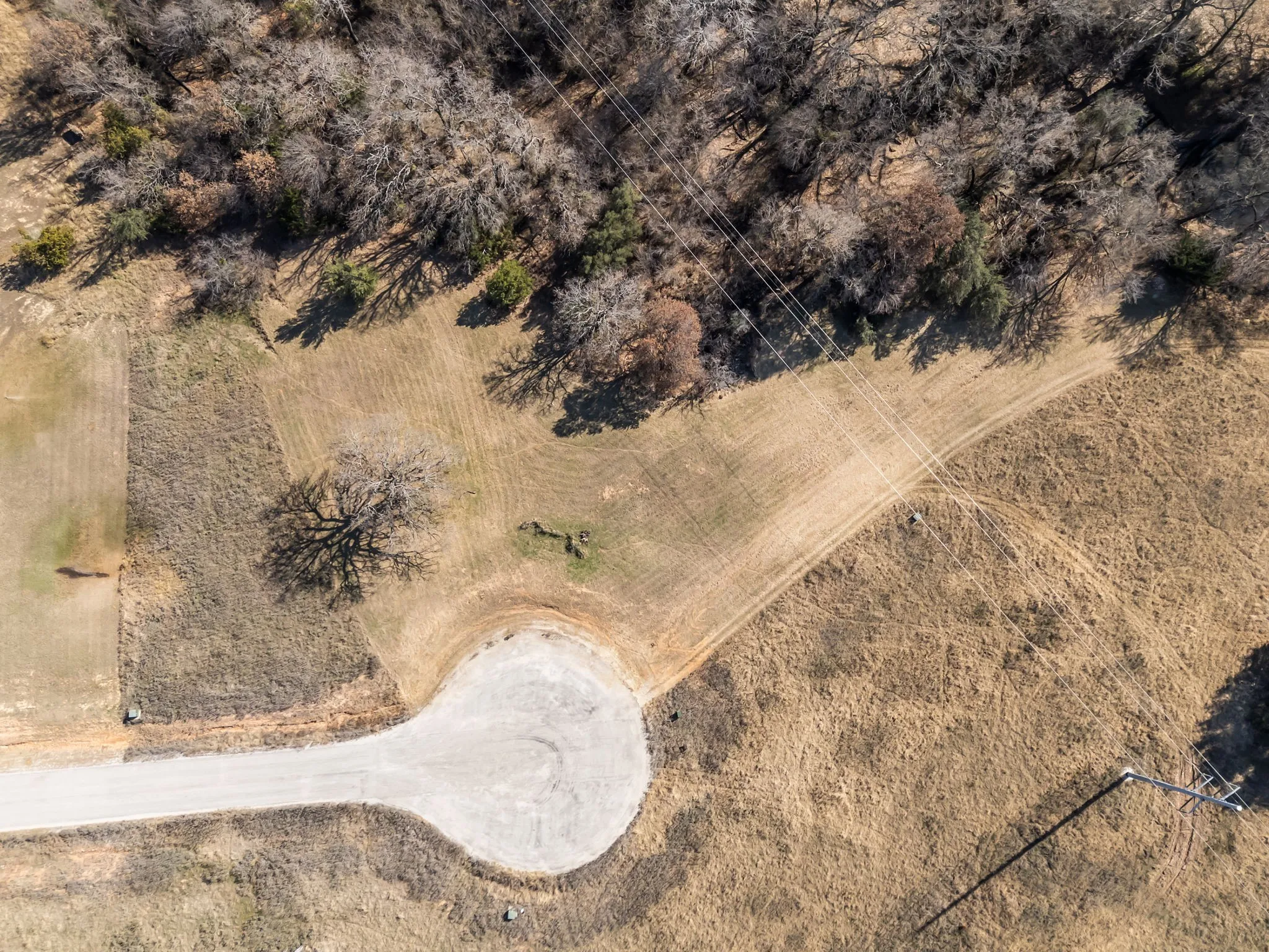 Improved Land For Sale in Parker County , 137 Aslan Road, Poolville, Texas 76487, 0, 0, Garage spaces, 0 Sqft, built in 0, Price $95,000, mls#21142379, Real Estate Agent in Poolville, Homes For Sale in Parker county, Homes For Sale in Poolville, Realtor in Poolville Texas, Real Estate Brokerage Independent Realty Texas, Luminita Cordes Realtor
