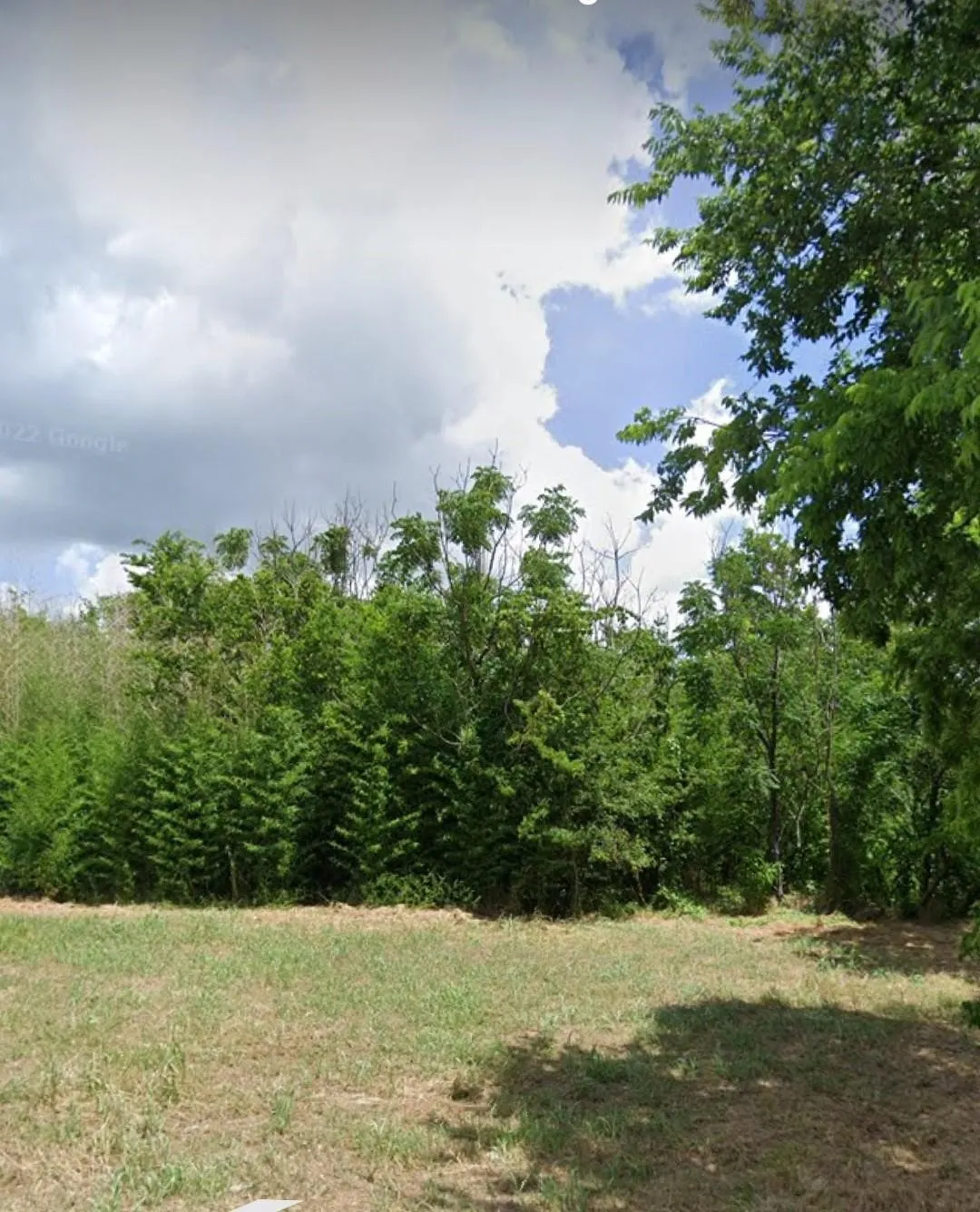 Unimproved Land For Sale in Hunt County , 1418 Marshall Street, Greenville, Texas 75401, 0, 0, Garage spaces, 0 Sqft, built in 0, mls#21142529, Real Estate Agent in Greenville, Homes For Sale in Hunt county, Homes For Sale in Greenville, Realtor in Greenville Texas, Real Estate Brokerage Independent Realty Texas, Luminita Cordes Realtor