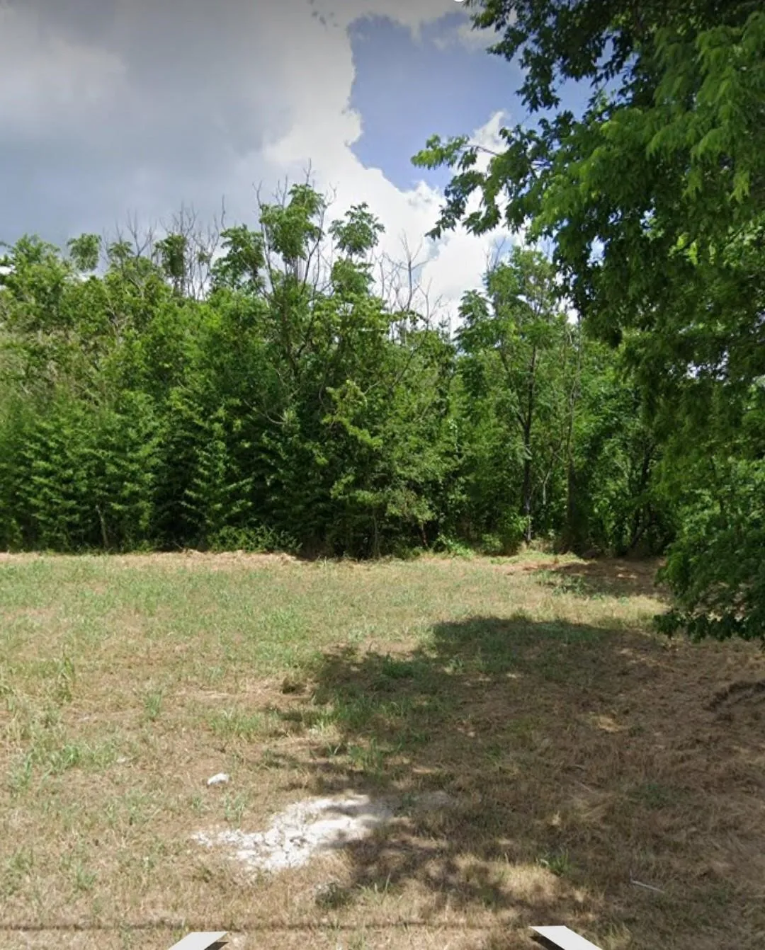 Unimproved Land For Sale in Hunt County , 1418 Marshall Street, Greenville, Texas 75401, 0, 0, Garage spaces, 0 Sqft, built in 0, mls#21142529, Real Estate Agent in Greenville, Homes For Sale in Hunt county, Homes For Sale in Greenville, Realtor in Greenville Texas, Real Estate Brokerage Independent Realty Texas, Luminita Cordes Realtor