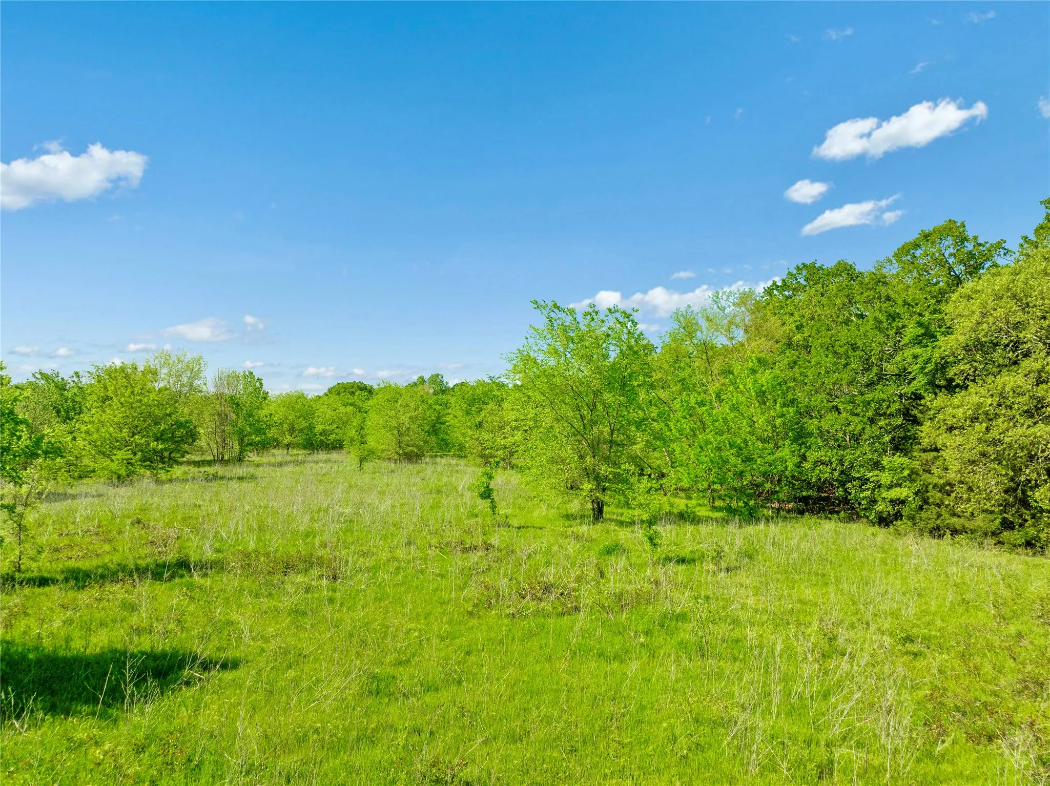 Unimproved Land For Sale in Lamar County , SW Side Loop 286, Paris, Texas 75460, 0, 0, Garage spaces, 0 Sqft, built in 0, mls#21142586, Real Estate Agent in Paris, Homes For Sale in Lamar county, Homes For Sale in Paris, Realtor in Paris Texas, Real Estate Brokerage Independent Realty Texas, Luminita Cordes Realtor