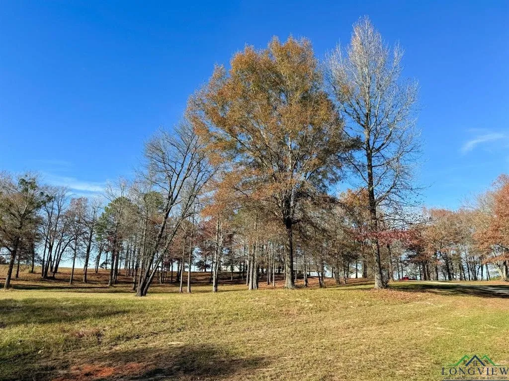 Single Family Residence For Sale in Cass County , 9791 Farm to Market 251 South S, Bivins, Texas 75555, 4 Bedroom, 5 Bathroom, 3 Garage spaces, 5,071 Sqft, built in 2002, Preowned, mls#21142624, Real Estate Agent in Bivins, Homes For Sale in Cass county, Homes For Sale in Bivins, Realtor in Bivins Texas, Real Estate Brokerage Independent Realty Texas, Luminita Cordes Realtor
