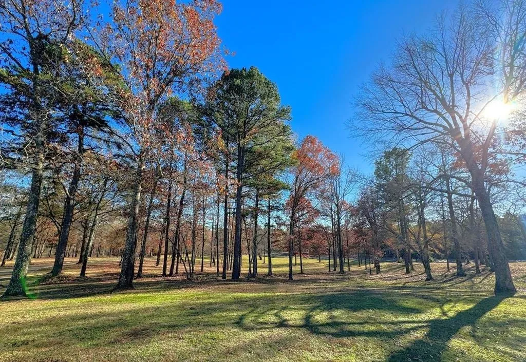 Single Family Residence For Sale in Cass County , 9791 Farm to Market 251 South S, Bivins, Texas 75555, 4 Bedroom, 5 Bathroom, 3 Garage spaces, 5,071 Sqft, built in 2002, Preowned, mls#21142624, Real Estate Agent in Bivins, Homes For Sale in Cass county, Homes For Sale in Bivins, Realtor in Bivins Texas, Real Estate Brokerage Independent Realty Texas, Luminita Cordes Realtor