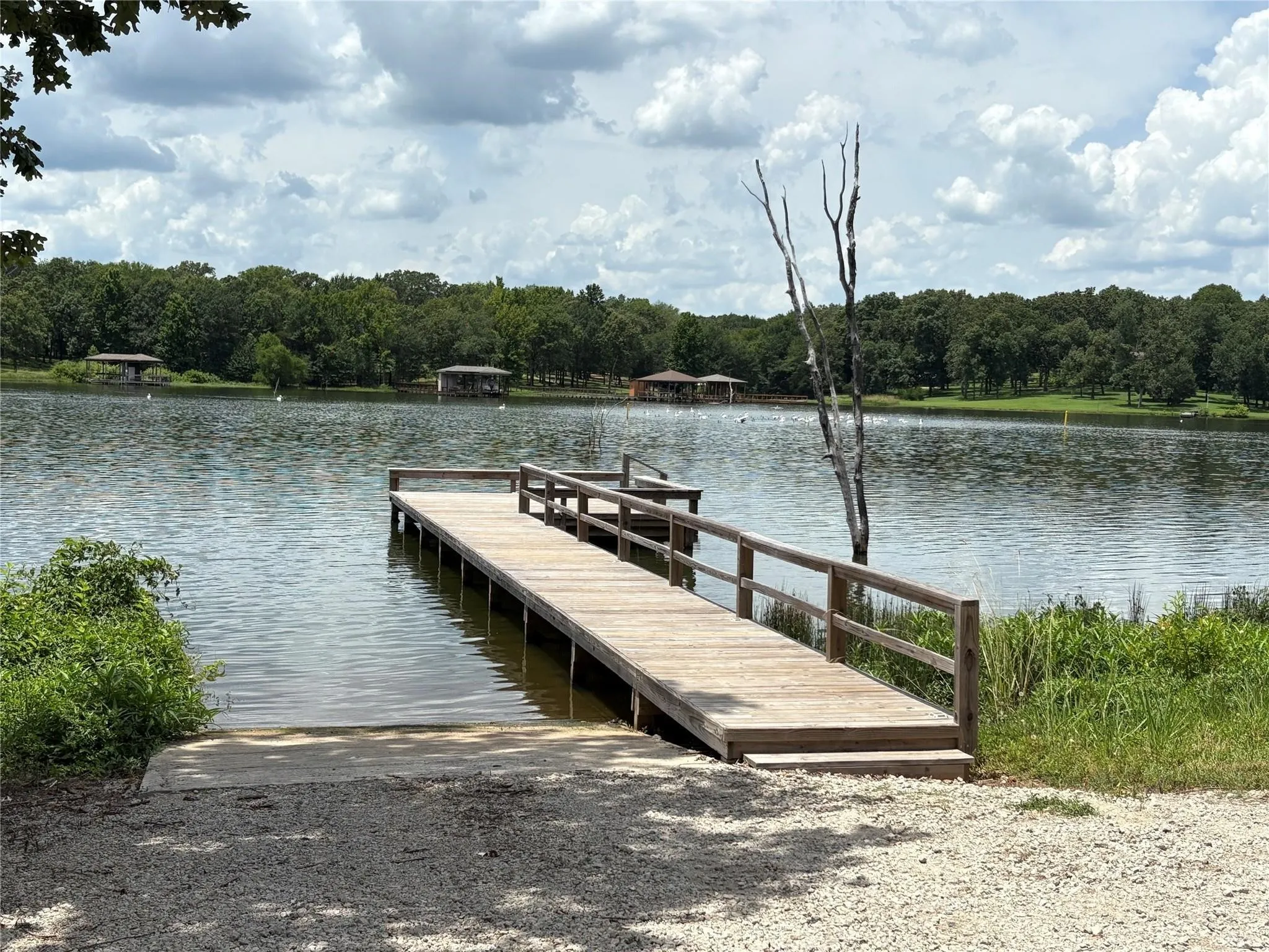 Improved Land For Sale in Wood County , TBD PVT 5948 20, Yantis, Texas 75497, 0, 0, Garage spaces, 0 Sqft, built in 0, Price $60,000, mls#21142629, Real Estate Agent in Yantis, Homes For Sale in Wood county, Homes For Sale in Yantis, Realtor in Yantis Texas, Real Estate Brokerage Independent Realty Texas, Luminita Cordes Realtor