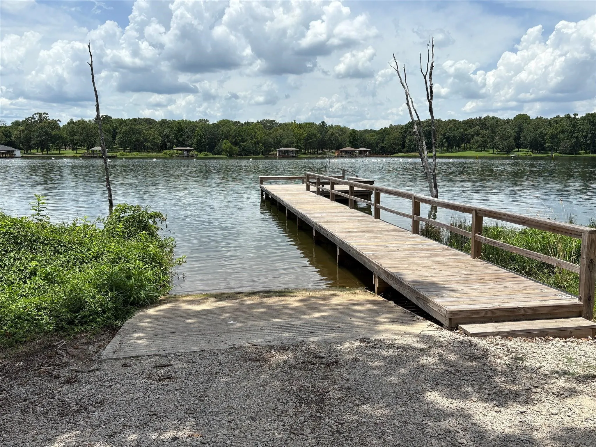 Improved Land For Sale in Wood County , TBD PVT 5948 20, Yantis, Texas 75497, 0, 0, Garage spaces, 0 Sqft, built in 0, Price $60,000, mls#21142629, Real Estate Agent in Yantis, Homes For Sale in Wood county, Homes For Sale in Yantis, Realtor in Yantis Texas, Real Estate Brokerage Independent Realty Texas, Luminita Cordes Realtor
