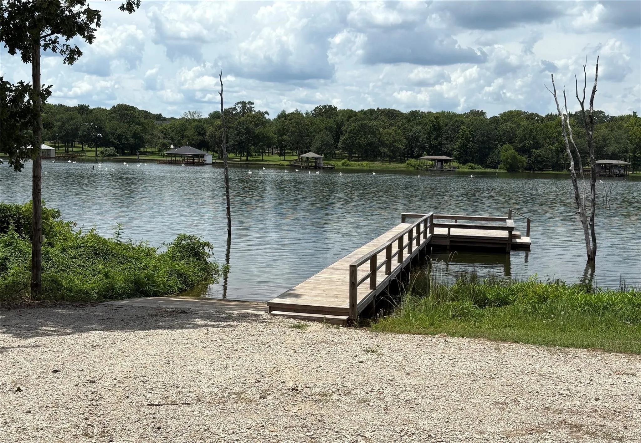 Improved Land For Sale in Wood County , TBD PVT 5948 Street 19, Yantis, Texas 75497, 0, 0, Garage spaces, 0 Sqft, built in 0, Price $60,000, mls#21142637, Real Estate Agent in Yantis, Homes For Sale in Wood county, Homes For Sale in Yantis, Realtor in Yantis Texas, Real Estate Brokerage Independent Realty Texas, Luminita Cordes Realtor