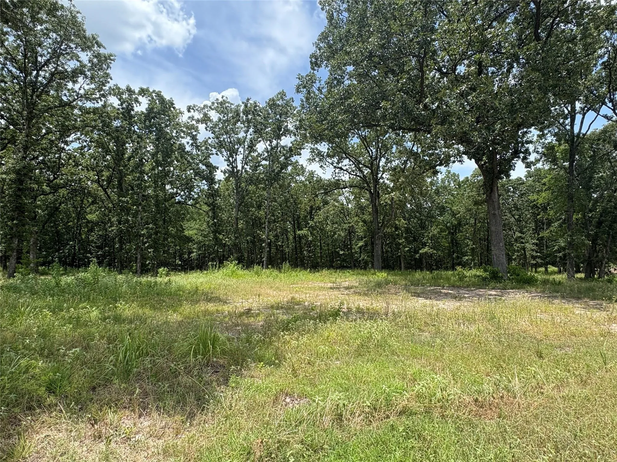 Improved Land For Sale in Wood County , TBD PVT 5948 22, Yantis, Texas 75497, 0, 0, Garage spaces, 0 Sqft, built in 0, Price $70,000, mls#21142643, Real Estate Agent in Yantis, Homes For Sale in Wood county, Homes For Sale in Yantis, Realtor in Yantis Texas, Real Estate Brokerage Independent Realty Texas, Luminita Cordes Realtor