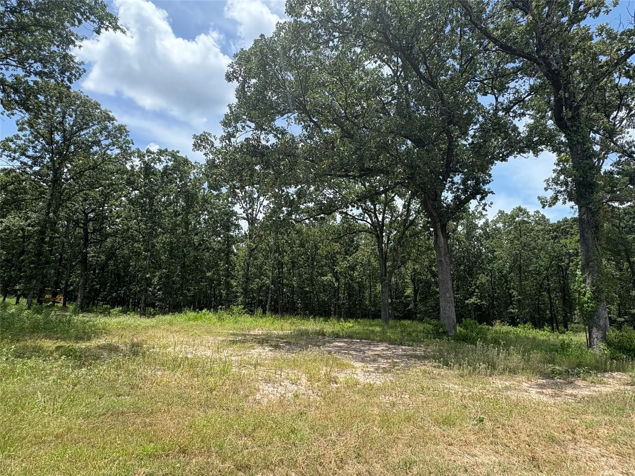 Improved Land For Sale in Wood County , TBD PVT 5948 22, Yantis, Texas 75497, 0, 0, Garage spaces, 0 Sqft, built in 0, Price $70,000, mls#21142643, Real Estate Agent in Yantis, Homes For Sale in Wood county, Homes For Sale in Yantis, Realtor in Yantis Texas, Real Estate Brokerage Independent Realty Texas, Luminita Cordes Realtor