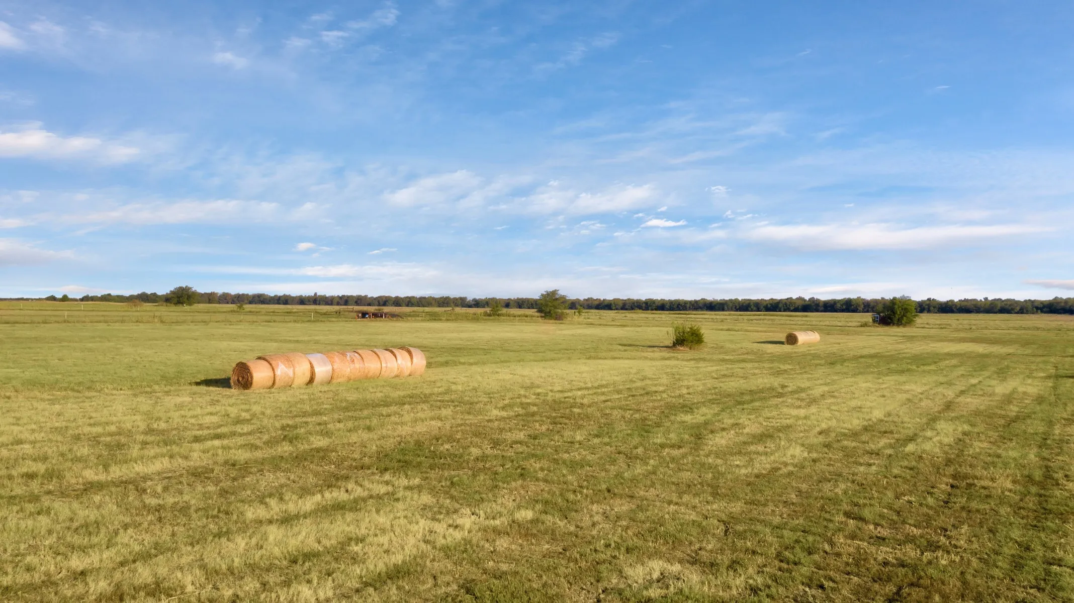 Unimproved Land For Sale in Hunt County , TBD FM 3211, Caddo Mills, Texas 75135, 0, 0, Garage spaces, 0 Sqft, built in 0, Price $369,000, mls#21119772, Real Estate Agent in Caddo Mills, Homes For Sale in Hunt county, Homes For Sale in Caddo Mills, Realtor in Caddo Mills Texas, Real Estate Brokerage Independent Realty Texas, Luminita Cordes Realtor