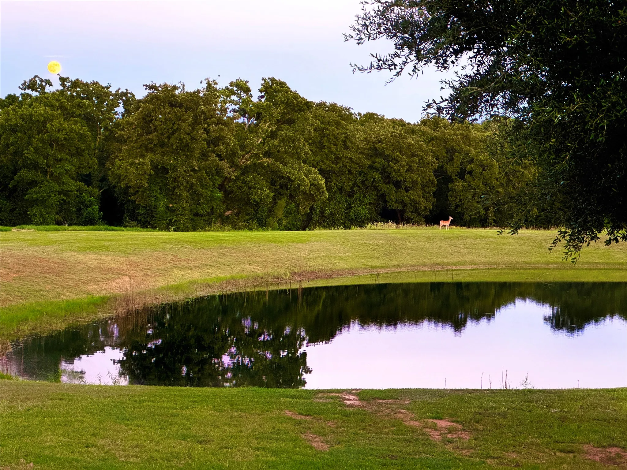 Farm For Sale in Hill County , 1561 Fm 934, Blum, Texas 76627, 3 Bedroom, 4 Bathroom, 7 Garage spaces, 4,255 Sqft, built in 2010, mls#21142038, Real Estate Agent in Blum, Homes For Sale in Hill county, Homes For Sale in Blum, Realtor in Blum Texas, Real Estate Brokerage Independent Realty Texas, Luminita Cordes Realtor