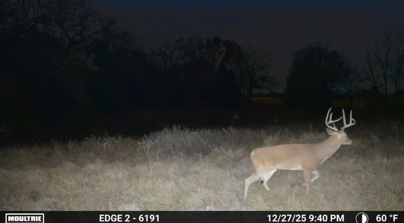 Farm For Sale in Hill County , 1561 Fm 934, Blum, Texas 76627, 3 Bedroom, 4 Bathroom, 7 Garage spaces, 4,255 Sqft, built in 2010, mls#21142038, Real Estate Agent in Blum, Homes For Sale in Hill county, Homes For Sale in Blum, Realtor in Blum Texas, Real Estate Brokerage Independent Realty Texas, Luminita Cordes Realtor