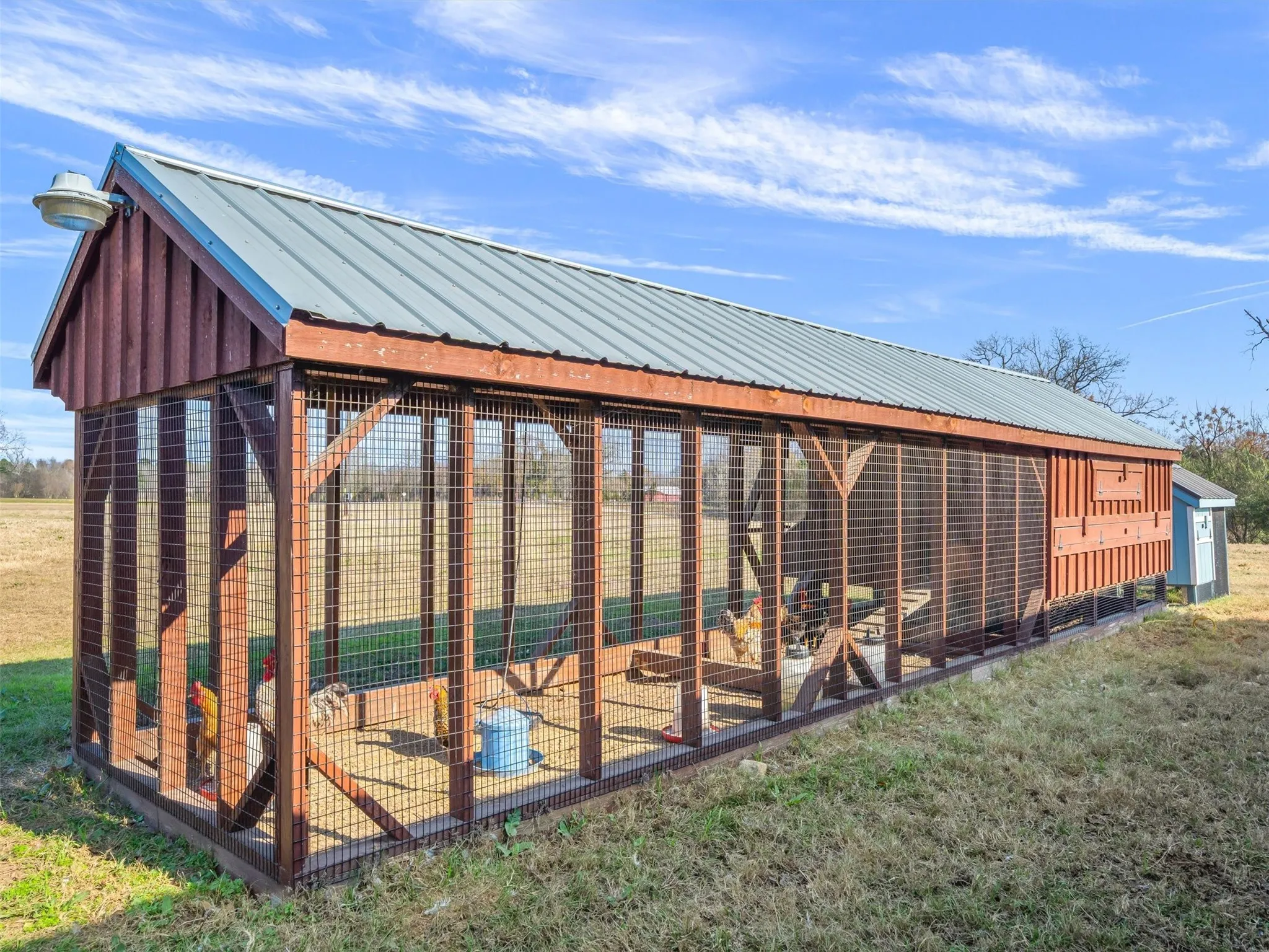 Chicken Coop