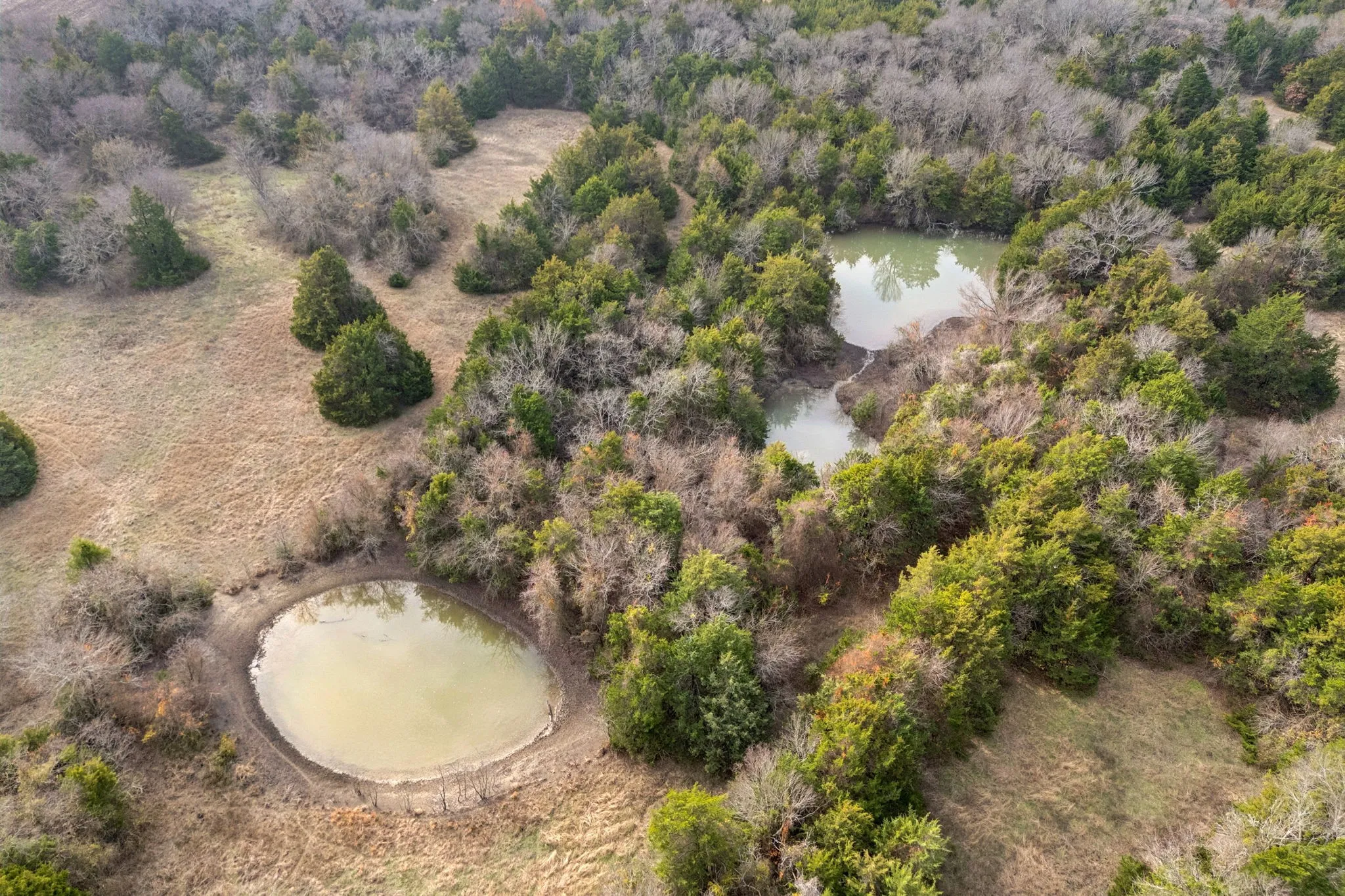 Ranch For Sale in Collin County , 33.322476, -96.455342 Fm-2862, Anna, Texas 75409, 0, 0, Garage spaces, 0 Sqft, built in 0, Price $3,325,000, mls#21143199, Real Estate Agent in Anna, Homes For Sale in Collin county, Homes For Sale in Anna, Realtor in Anna Texas, Real Estate Brokerage Independent Realty Texas, Luminita Cordes Realtor