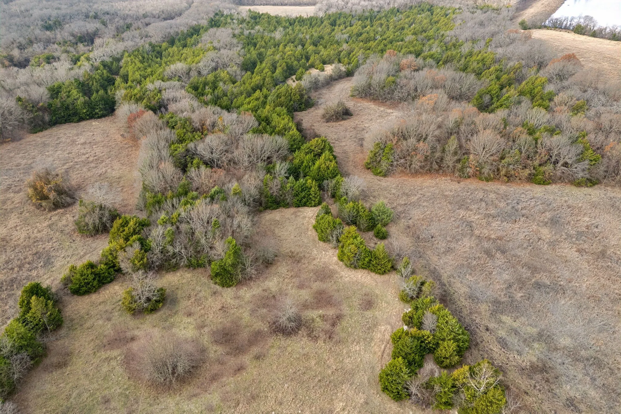 Ranch For Sale in Collin County , 33.322476, -96.455342 Fm-2862, Anna, Texas 75409, 0, 0, Garage spaces, 0 Sqft, built in 0, Price $3,325,000, mls#21143199, Real Estate Agent in Anna, Homes For Sale in Collin county, Homes For Sale in Anna, Realtor in Anna Texas, Real Estate Brokerage Independent Realty Texas, Luminita Cordes Realtor
