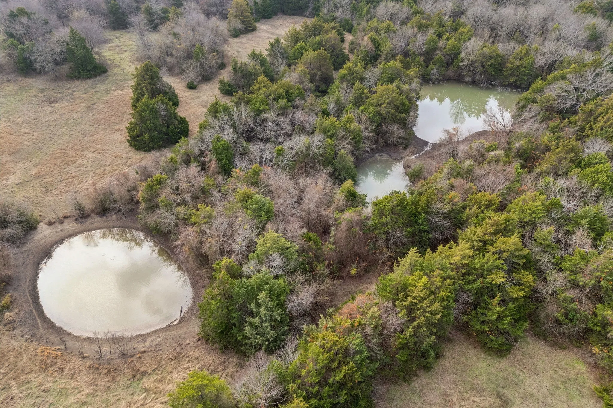 Ranch For Sale in Collin County , 33.322476, -96.455342 Fm-2862, Anna, Texas 75409, 0, 0, Garage spaces, 0 Sqft, built in 0, Price $3,325,000, mls#21143199, Real Estate Agent in Anna, Homes For Sale in Collin county, Homes For Sale in Anna, Realtor in Anna Texas, Real Estate Brokerage Independent Realty Texas, Luminita Cordes Realtor