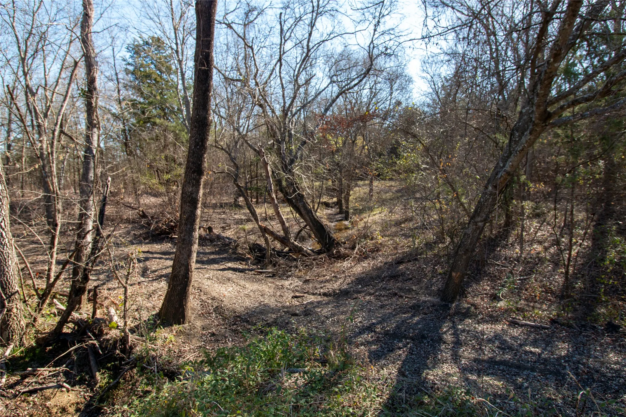 Unimproved Land For Sale in Fannin County , Lot 2 County Road 2905, Dodd City, Texas 75438, 0, 0, Garage spaces, 0 Sqft, built in 0, Price $80,000, mls#21143265, Real Estate Agent in Dodd City, Homes For Sale in Fannin county, Homes For Sale in Dodd City, Realtor in Dodd City Texas, Real Estate Brokerage Independent Realty Texas, Luminita Cordes Realtor