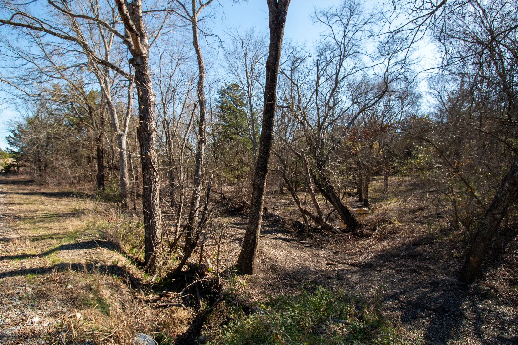 Unimproved Land For Sale in Fannin County , Lot 2 County Road 2905, Dodd City, Texas 75438, 0, 0, Garage spaces, 0 Sqft, built in 0, Price $80,000, mls#21143265, Real Estate Agent in Dodd City, Homes For Sale in Fannin county, Homes For Sale in Dodd City, Realtor in Dodd City Texas, Real Estate Brokerage Independent Realty Texas, Luminita Cordes Realtor
