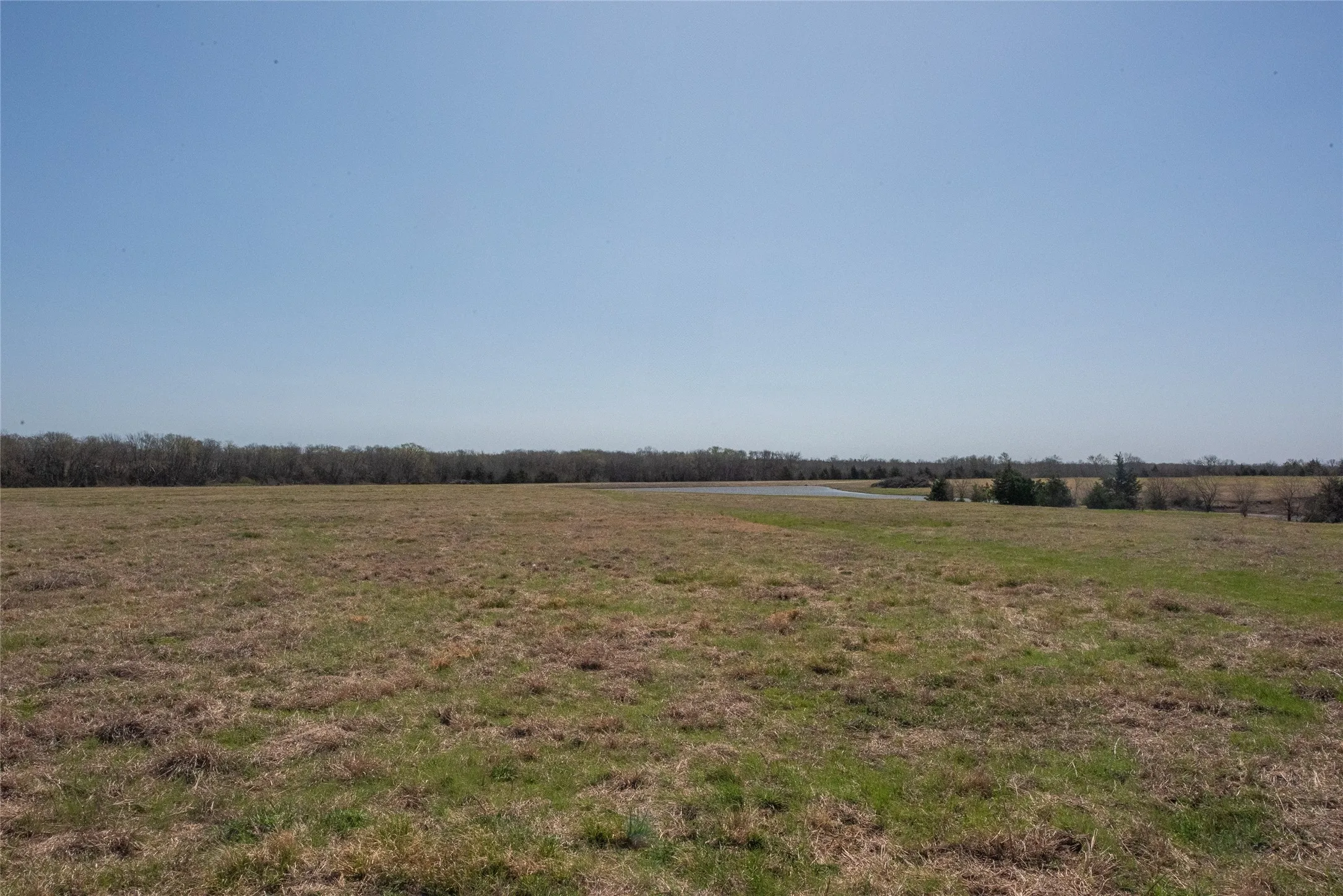 Unimproved Land For Sale in Fannin County , TBD FM 824, Honey Grove, Texas 75446, 0, 0, Garage spaces, 0 Sqft, built in 0, mls#21143367, Real Estate Agent in Honey Grove, Homes For Sale in Fannin county, Homes For Sale in Honey Grove, Realtor in Honey Grove Texas, Real Estate Brokerage Independent Realty Texas, Luminita Cordes Realtor
