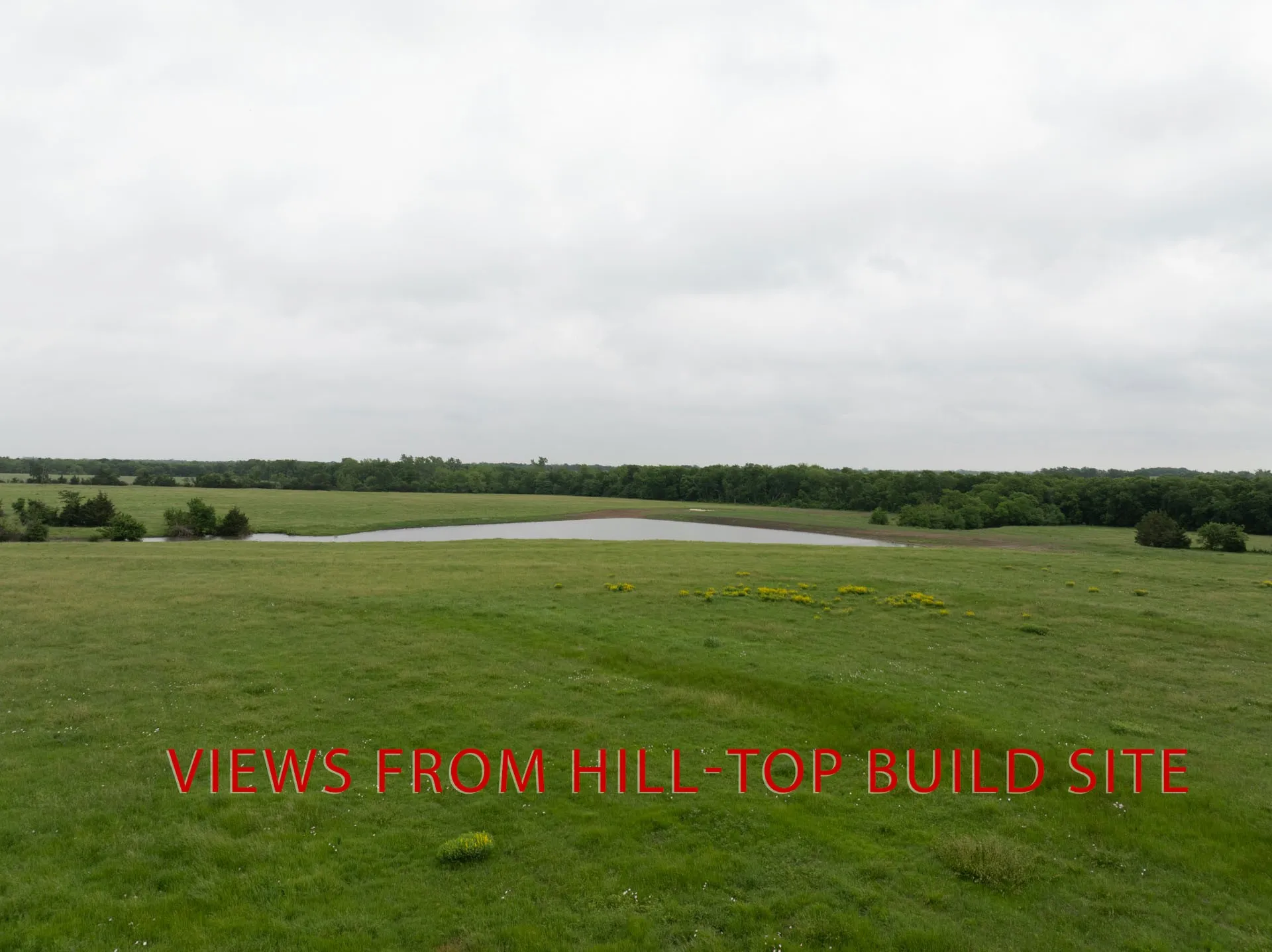 Unimproved Land For Sale in Fannin County , TBD FM 824, Honey Grove, Texas 75446, 0, 0, Garage spaces, 0 Sqft, built in 0, mls#21143367, Real Estate Agent in Honey Grove, Homes For Sale in Fannin county, Homes For Sale in Honey Grove, Realtor in Honey Grove Texas, Real Estate Brokerage Independent Realty Texas, Luminita Cordes Realtor