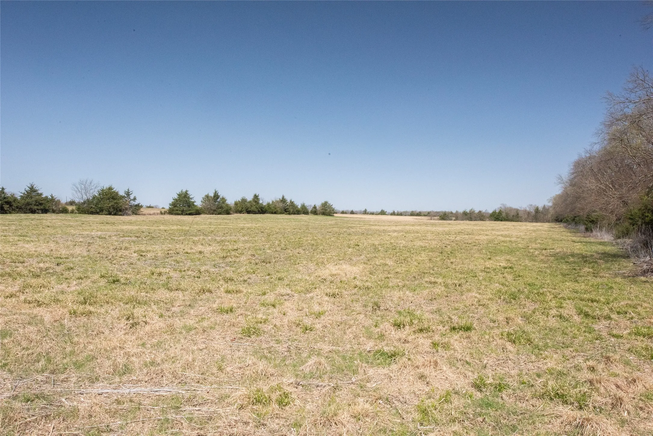 Unimproved Land For Sale in Fannin County , TBD Lot 1 CR 824, Honey Grove, Texas 75446, 0, 0, Garage spaces, 0 Sqft, built in 0, Price $589,000, mls#21143372, Real Estate Agent in Honey Grove, Homes For Sale in Fannin county, Homes For Sale in Honey Grove, Realtor in Honey Grove Texas, Real Estate Brokerage Independent Realty Texas, Luminita Cordes Realtor