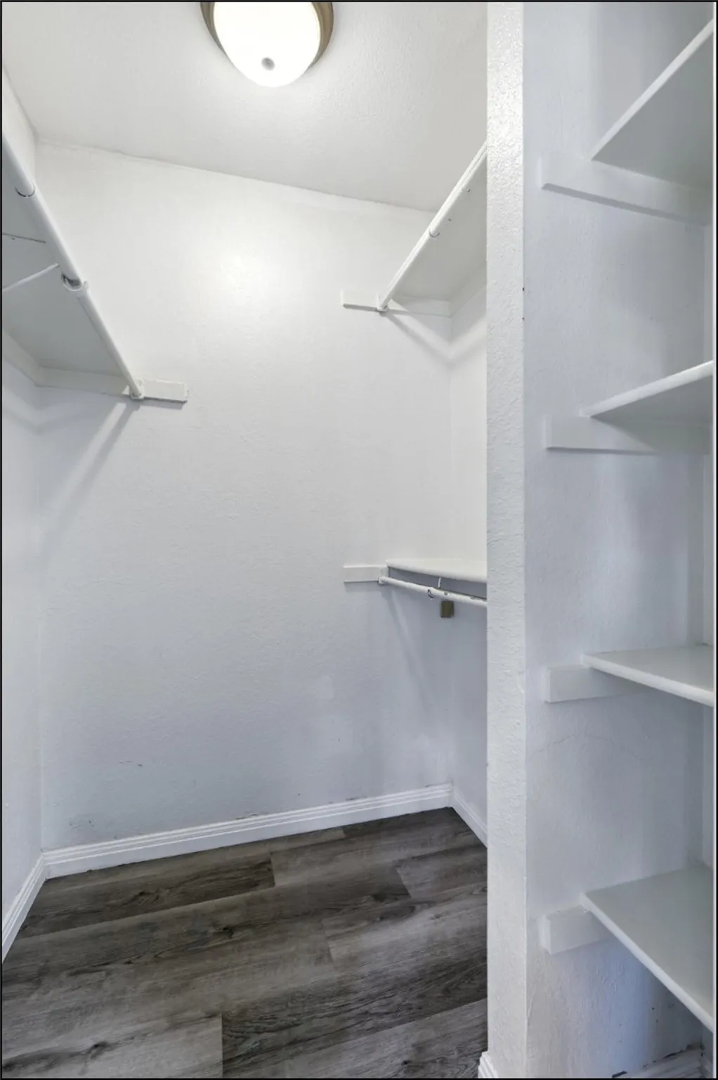 Walk in closet featuring dark wood-style flooring