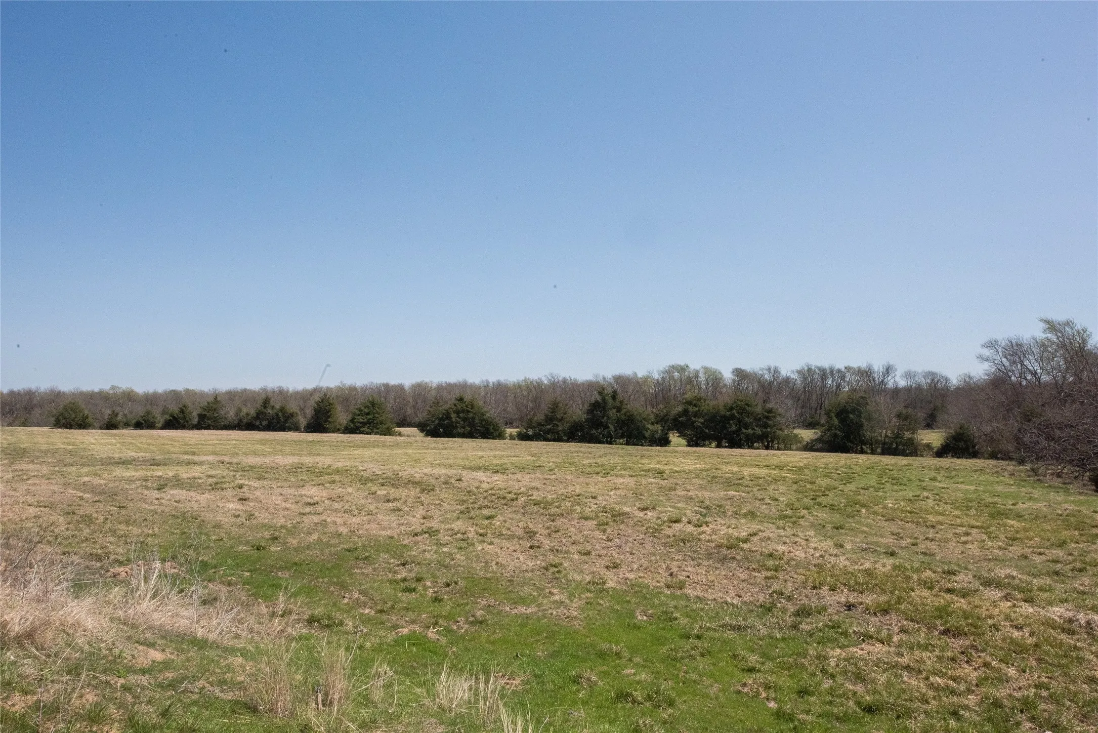 Unimproved Land For Sale in Fannin County , TBD Lot 2 CR 824, Honey Grove, Texas 75446, 0, 0, Garage spaces, 0 Sqft, built in 0, Price $695,000, mls#21143373, Real Estate Agent in Honey Grove, Homes For Sale in Fannin county, Homes For Sale in Honey Grove, Realtor in Honey Grove Texas, Real Estate Brokerage Independent Realty Texas, Luminita Cordes Realtor