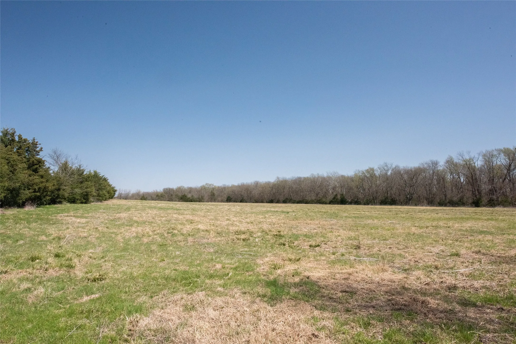 Unimproved Land For Sale in Fannin County , TBD Lot 2 CR 824, Honey Grove, Texas 75446, 0, 0, Garage spaces, 0 Sqft, built in 0, Price $695,000, mls#21143373, Real Estate Agent in Honey Grove, Homes For Sale in Fannin county, Homes For Sale in Honey Grove, Realtor in Honey Grove Texas, Real Estate Brokerage Independent Realty Texas, Luminita Cordes Realtor