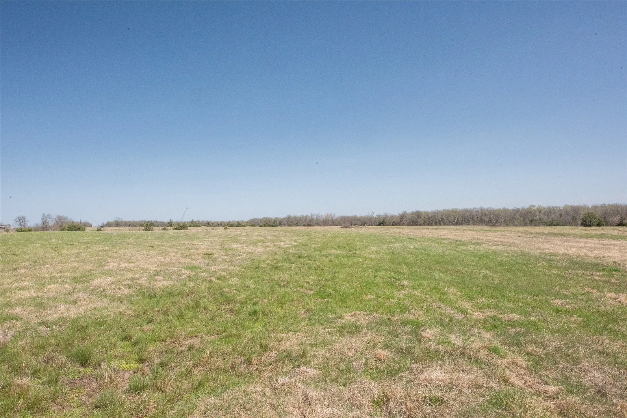 Unimproved Land For Sale in Fannin County , TBD Lot 2 CR 824, Honey Grove, Texas 75446, 0, 0, Garage spaces, 0 Sqft, built in 0, Price $695,000, mls#21143373, Real Estate Agent in Honey Grove, Homes For Sale in Fannin county, Homes For Sale in Honey Grove, Realtor in Honey Grove Texas, Real Estate Brokerage Independent Realty Texas, Luminita Cordes Realtor