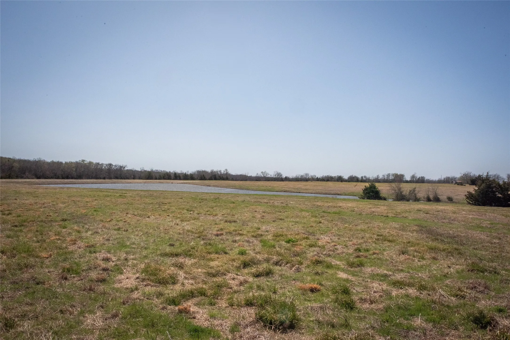 Unimproved Land For Sale in Fannin County , TBD Lot 2 CR 824, Honey Grove, Texas 75446, 0, 0, Garage spaces, 0 Sqft, built in 0, Price $695,000, mls#21143373, Real Estate Agent in Honey Grove, Homes For Sale in Fannin county, Homes For Sale in Honey Grove, Realtor in Honey Grove Texas, Real Estate Brokerage Independent Realty Texas, Luminita Cordes Realtor
