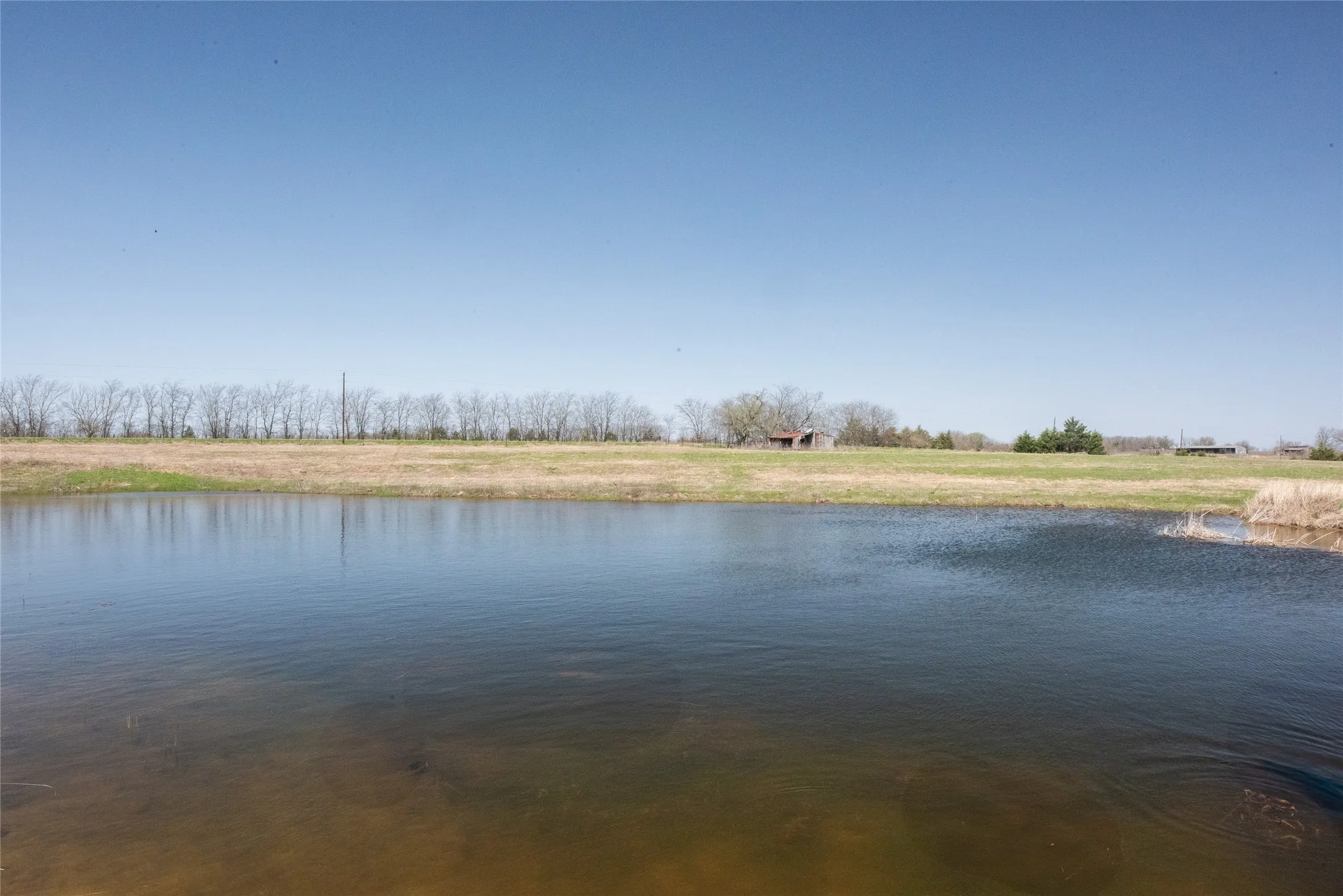Unimproved Land For Sale in Fannin County , TBD Lot 2 CR 824, Honey Grove, Texas 75446, 0, 0, Garage spaces, 0 Sqft, built in 0, Price $695,000, mls#21143373, Real Estate Agent in Honey Grove, Homes For Sale in Fannin county, Homes For Sale in Honey Grove, Realtor in Honey Grove Texas, Real Estate Brokerage Independent Realty Texas, Luminita Cordes Realtor