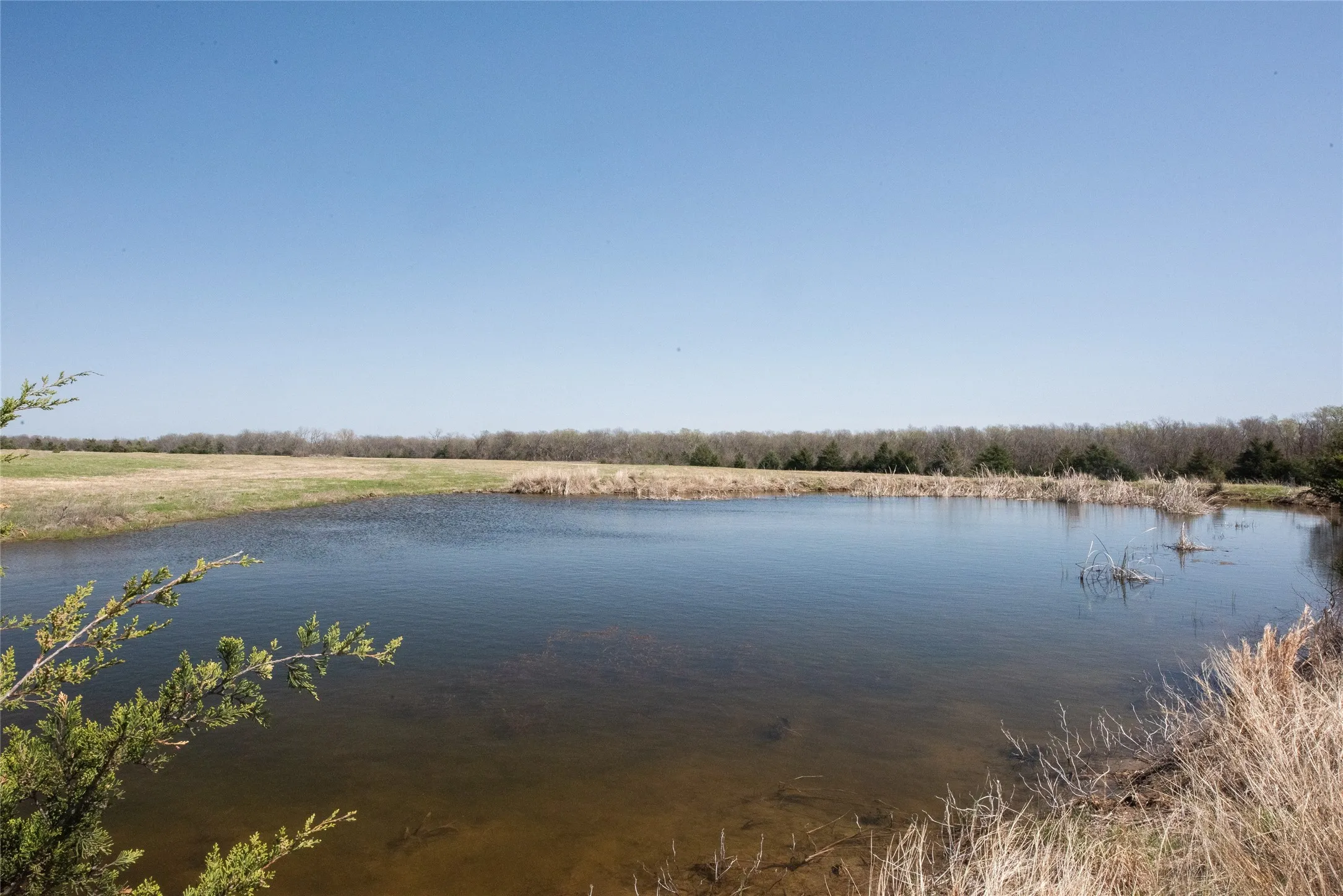 Unimproved Land For Sale in Fannin County , TBD Lot 2 CR 824, Honey Grove, Texas 75446, 0, 0, Garage spaces, 0 Sqft, built in 0, Price $695,000, mls#21143373, Real Estate Agent in Honey Grove, Homes For Sale in Fannin county, Homes For Sale in Honey Grove, Realtor in Honey Grove Texas, Real Estate Brokerage Independent Realty Texas, Luminita Cordes Realtor