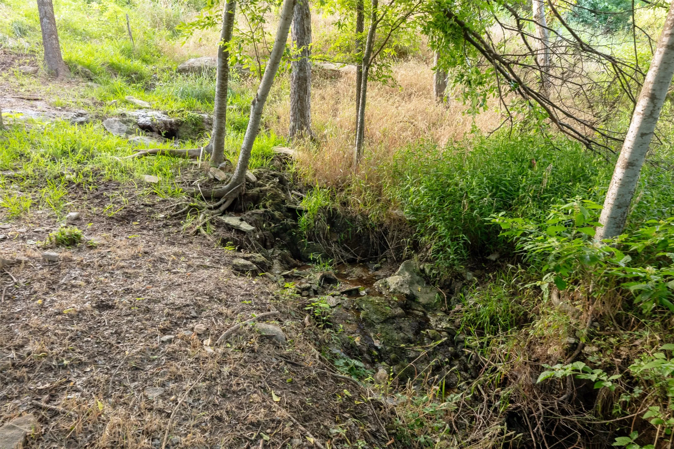 Unimproved Land For Sale in Hood County , 9710 Bellechase Road, Granbury, Texas 76049, 0, 0, Garage spaces, 0 Sqft, built in 0, Price $139,900, mls#21143419, Real Estate Agent in Granbury, Homes For Sale in Hood county, Homes For Sale in Granbury, Realtor in Granbury Texas, Real Estate Brokerage Independent Realty Texas, Luminita Cordes Realtor