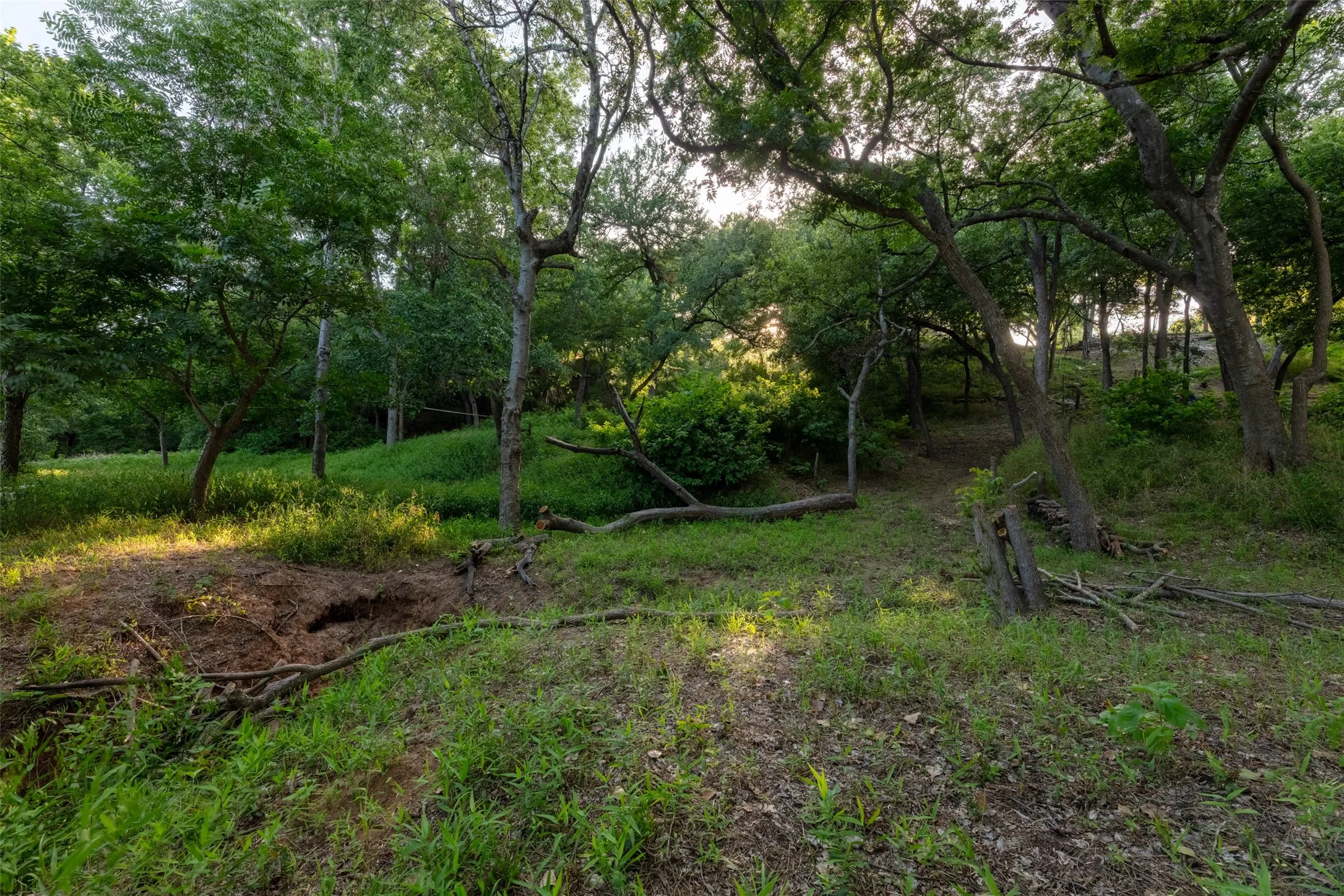 Unimproved Land For Sale in Hood County , 9710 Bellechase Road, Granbury, Texas 76049, 0, 0, Garage spaces, 0 Sqft, built in 0, Price $139,900, mls#21143419, Real Estate Agent in Granbury, Homes For Sale in Hood county, Homes For Sale in Granbury, Realtor in Granbury Texas, Real Estate Brokerage Independent Realty Texas, Luminita Cordes Realtor