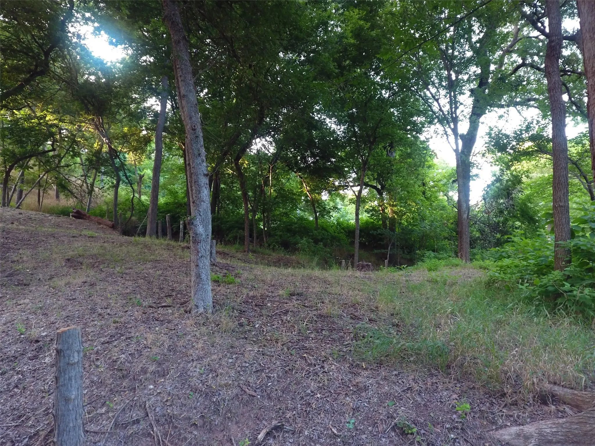 Unimproved Land For Sale in Hood County , 9710 Bellechase Road, Granbury, Texas 76049, 0, 0, Garage spaces, 0 Sqft, built in 0, Price $139,900, mls#21143419, Real Estate Agent in Granbury, Homes For Sale in Hood county, Homes For Sale in Granbury, Realtor in Granbury Texas, Real Estate Brokerage Independent Realty Texas, Luminita Cordes Realtor