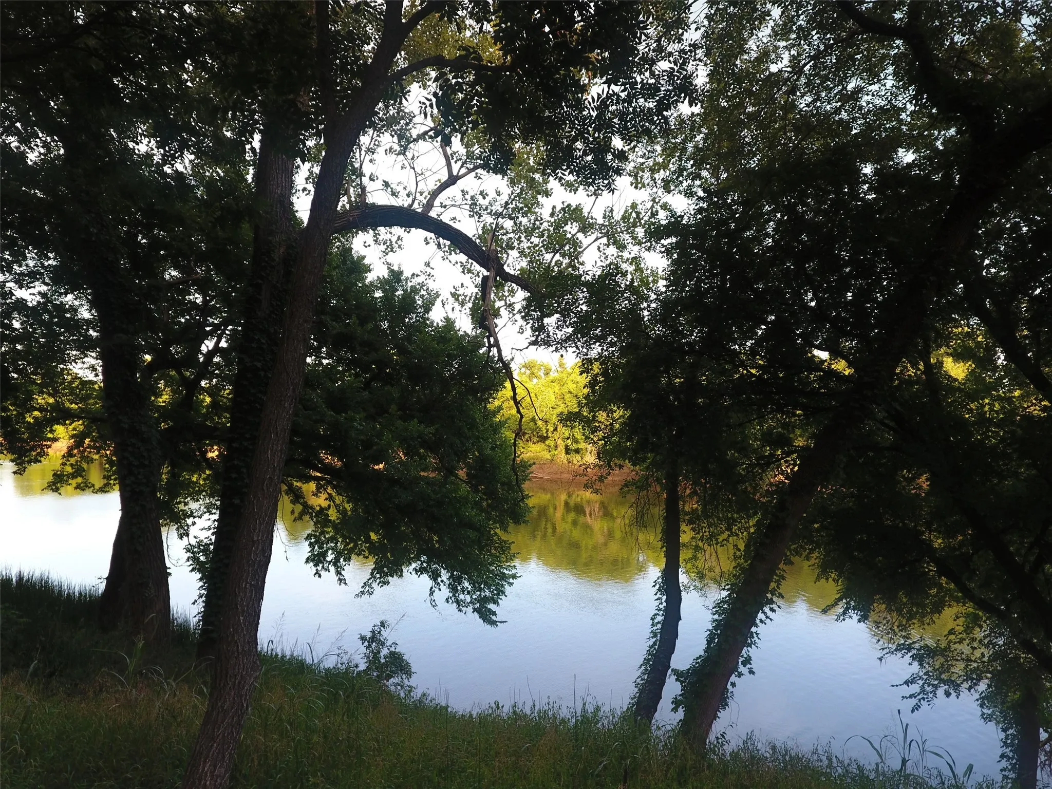 Unimproved Land For Sale in Hood County , 9710 Bellechase Road, Granbury, Texas 76049, 0, 0, Garage spaces, 0 Sqft, built in 0, Price $139,900, mls#21143419, Real Estate Agent in Granbury, Homes For Sale in Hood county, Homes For Sale in Granbury, Realtor in Granbury Texas, Real Estate Brokerage Independent Realty Texas, Luminita Cordes Realtor