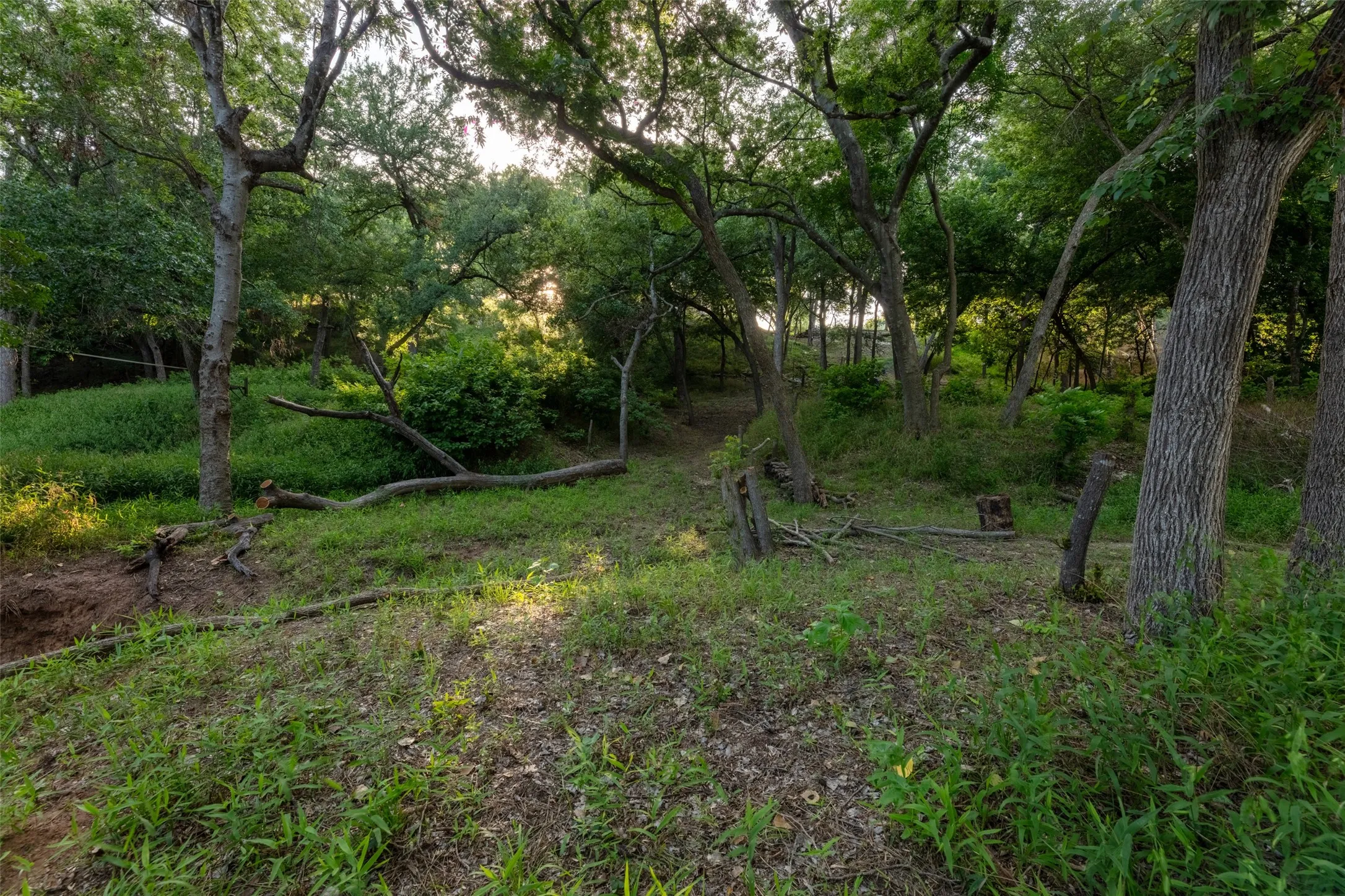 Unimproved Land For Sale in Hood County , 9710 Bellechase Road, Granbury, Texas 76049, 0, 0, Garage spaces, 0 Sqft, built in 0, Price $139,900, mls#21143419, Real Estate Agent in Granbury, Homes For Sale in Hood county, Homes For Sale in Granbury, Realtor in Granbury Texas, Real Estate Brokerage Independent Realty Texas, Luminita Cordes Realtor