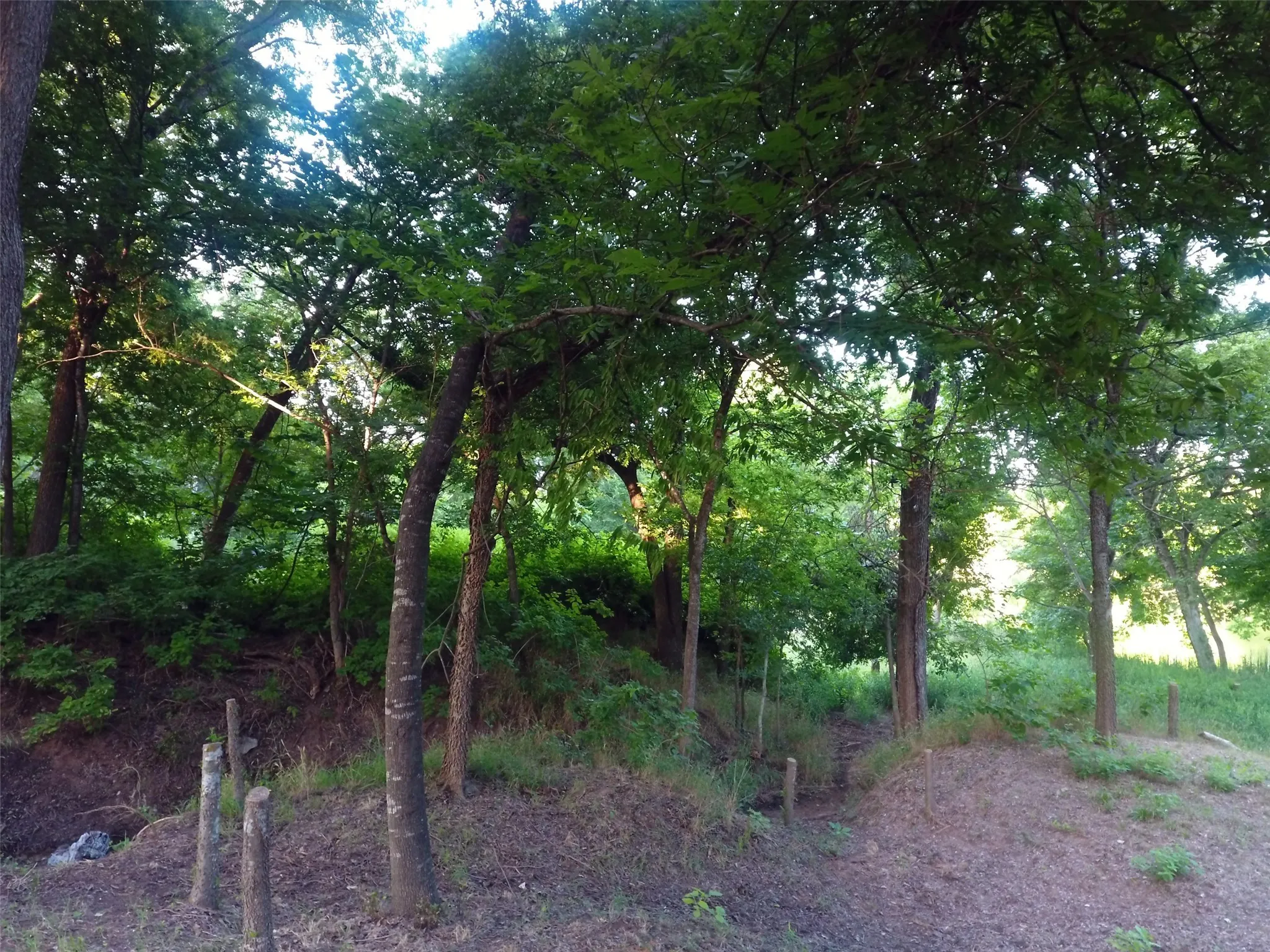 Unimproved Land For Sale in Hood County , 9710 Bellechase Road, Granbury, Texas 76049, 0, 0, Garage spaces, 0 Sqft, built in 0, Price $139,900, mls#21143419, Real Estate Agent in Granbury, Homes For Sale in Hood county, Homes For Sale in Granbury, Realtor in Granbury Texas, Real Estate Brokerage Independent Realty Texas, Luminita Cordes Realtor