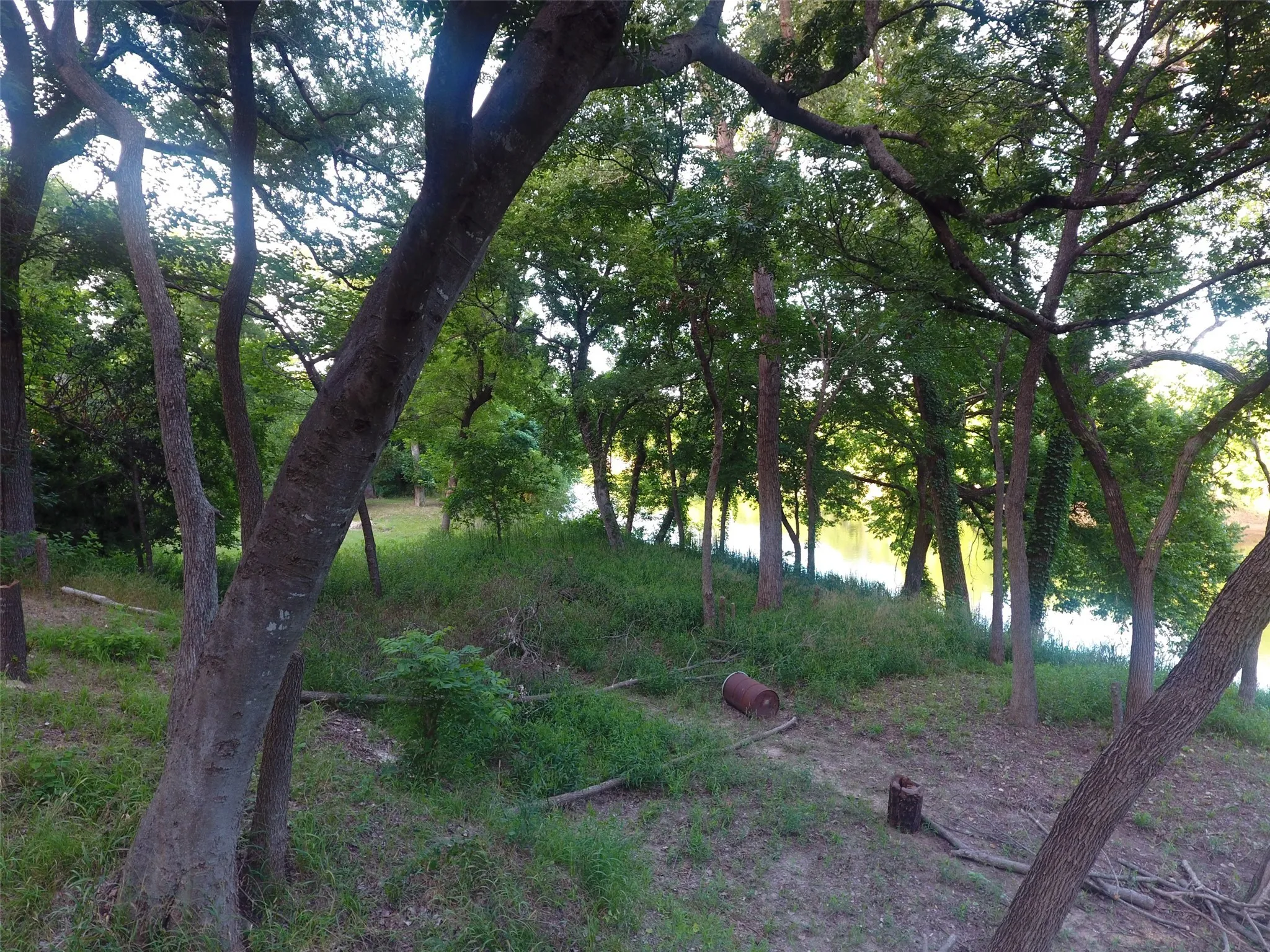Unimproved Land For Sale in Hood County , 9710 Bellechase Road, Granbury, Texas 76049, 0, 0, Garage spaces, 0 Sqft, built in 0, Price $139,900, mls#21143419, Real Estate Agent in Granbury, Homes For Sale in Hood county, Homes For Sale in Granbury, Realtor in Granbury Texas, Real Estate Brokerage Independent Realty Texas, Luminita Cordes Realtor