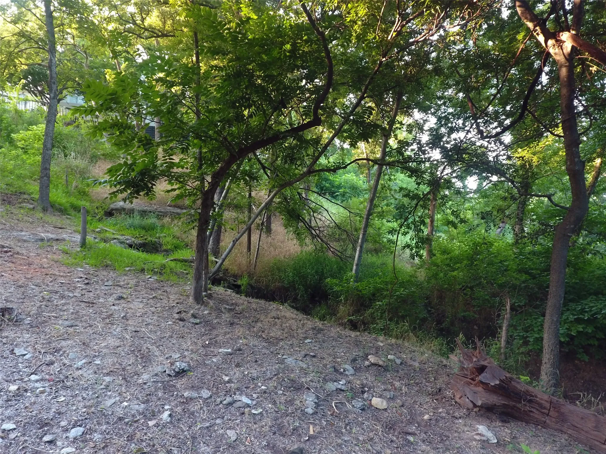 Unimproved Land For Sale in Hood County , 9710 Bellechase Road, Granbury, Texas 76049, 0, 0, Garage spaces, 0 Sqft, built in 0, Price $139,900, mls#21143419, Real Estate Agent in Granbury, Homes For Sale in Hood county, Homes For Sale in Granbury, Realtor in Granbury Texas, Real Estate Brokerage Independent Realty Texas, Luminita Cordes Realtor