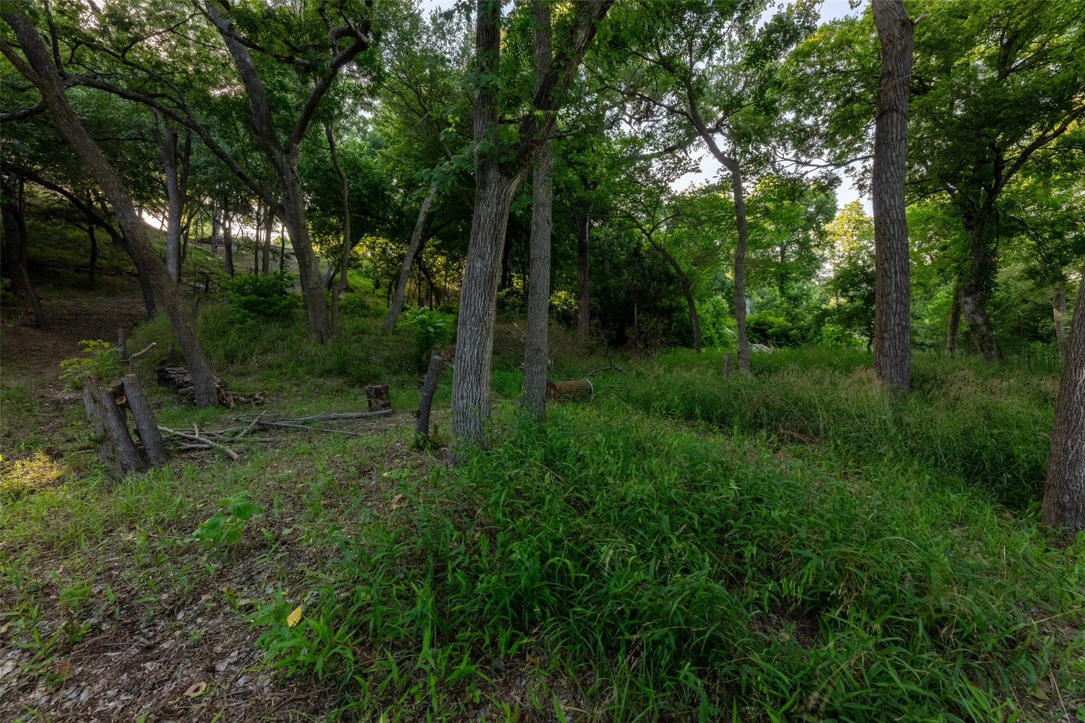 Unimproved Land For Sale in Hood County , 9710 Bellechase Road, Granbury, Texas 76049, 0, 0, Garage spaces, 0 Sqft, built in 0, Price $139,900, mls#21143419, Real Estate Agent in Granbury, Homes For Sale in Hood county, Homes For Sale in Granbury, Realtor in Granbury Texas, Real Estate Brokerage Independent Realty Texas, Luminita Cordes Realtor