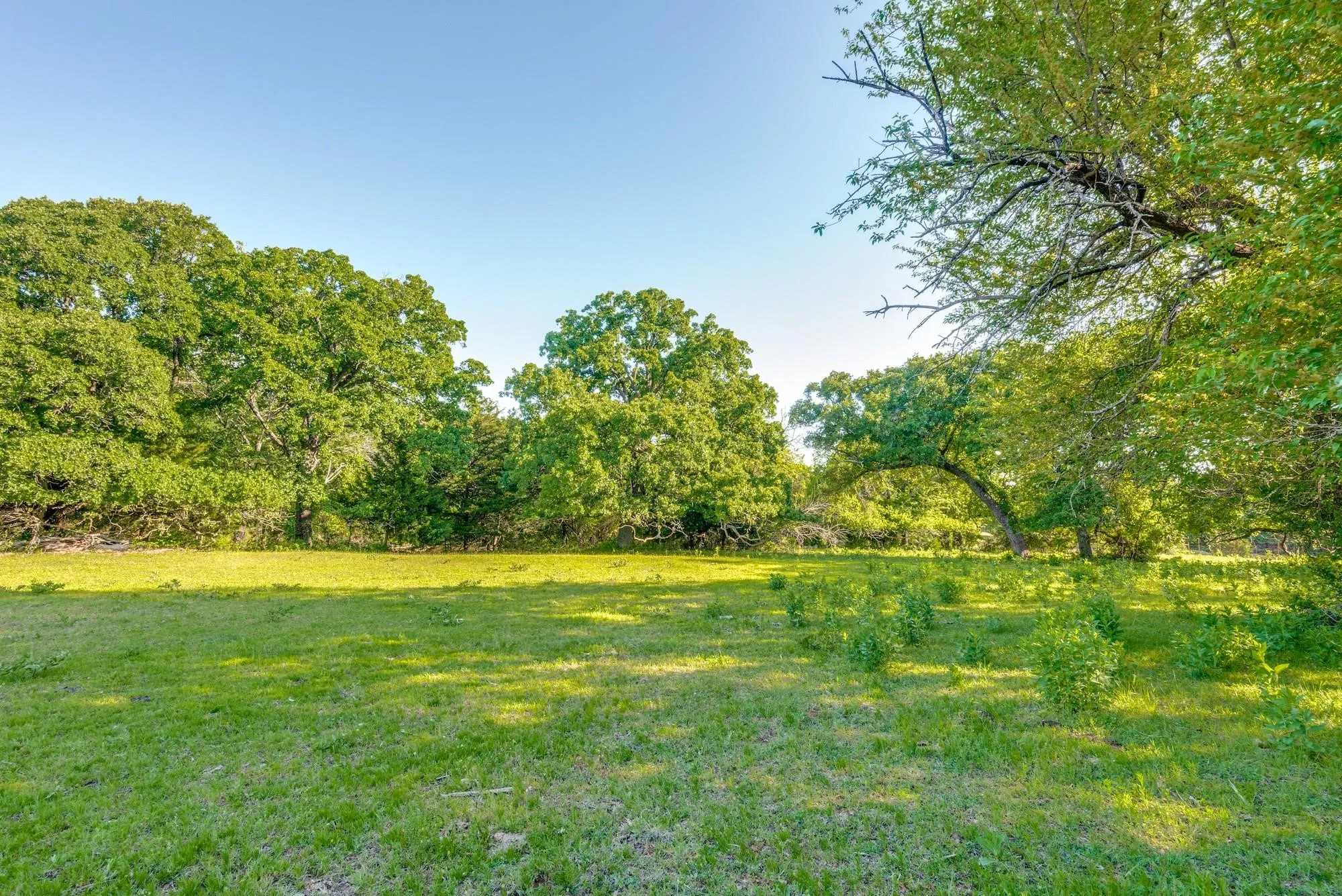 Unimproved Land For Sale in Grayson County , TBD Hwy 377, Pilot Point, Texas 76258, 0, 0, Garage spaces, 0 Sqft, built in 0, mls#21140968, Real Estate Agent in Pilot Point, Homes For Sale in Grayson county, Homes For Sale in Pilot Point, Realtor in Pilot Point Texas, Real Estate Brokerage Independent Realty Texas, Luminita Cordes Realtor